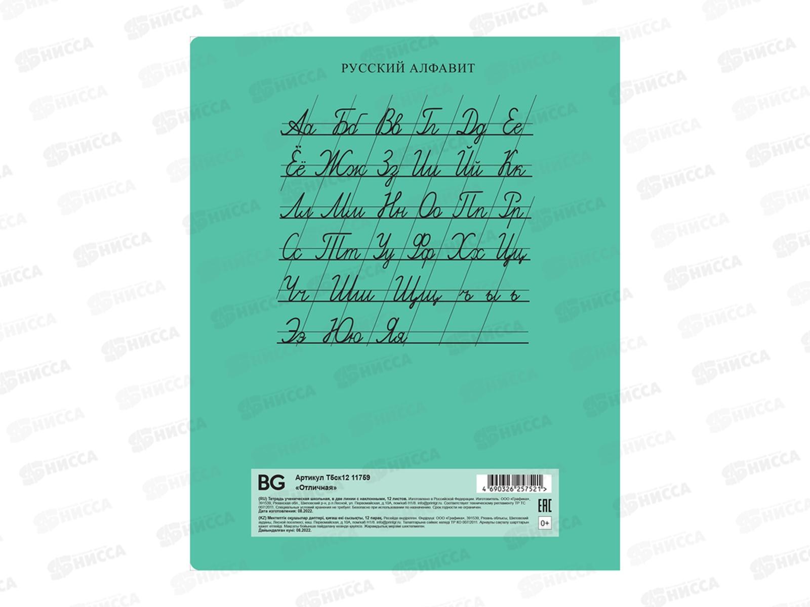 Тетрадь 12листов в косую линию BG Отличная 11759*16/160