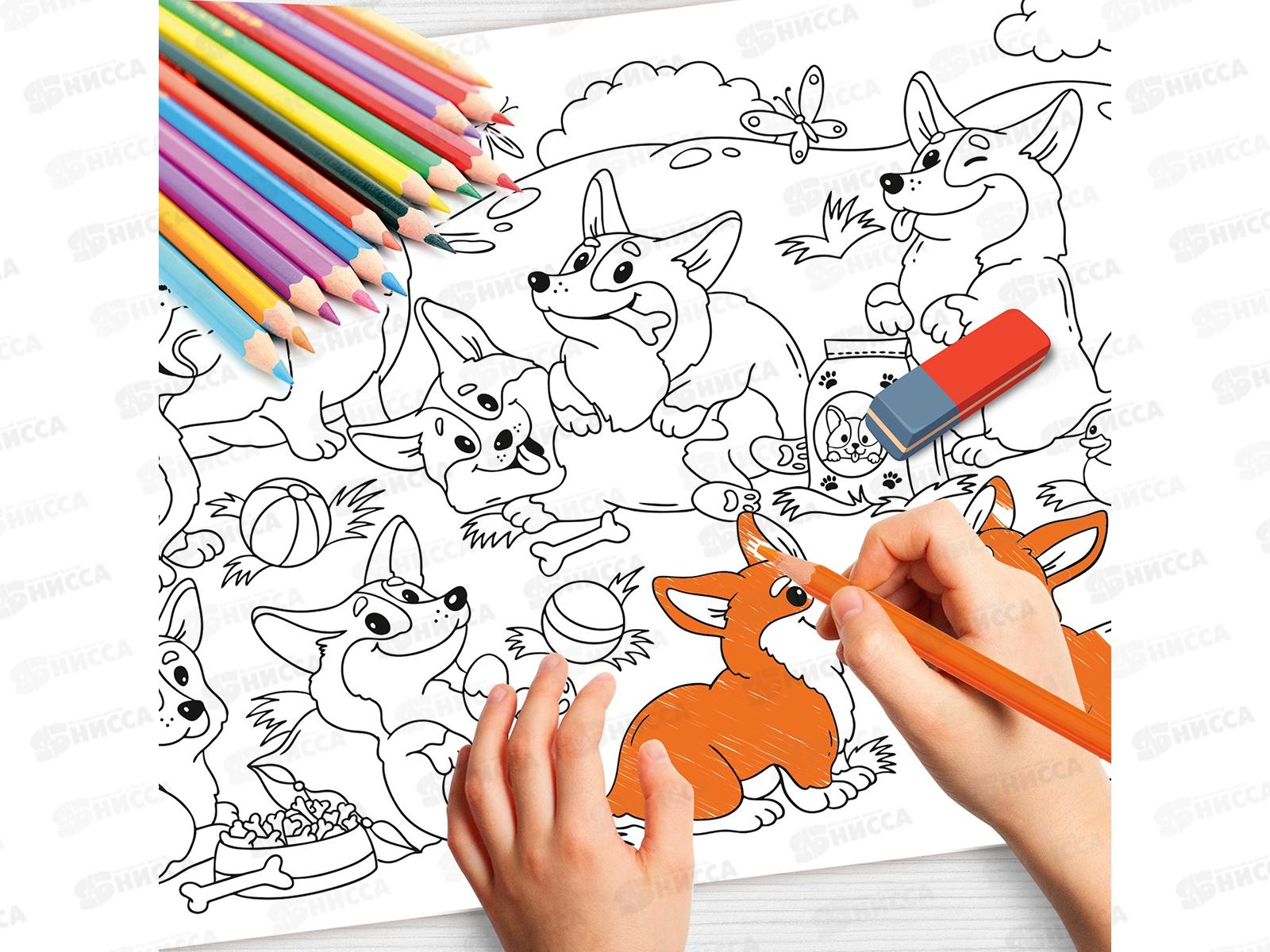 Коврик-раскраска многоразовый &quotПесики&quot 05105