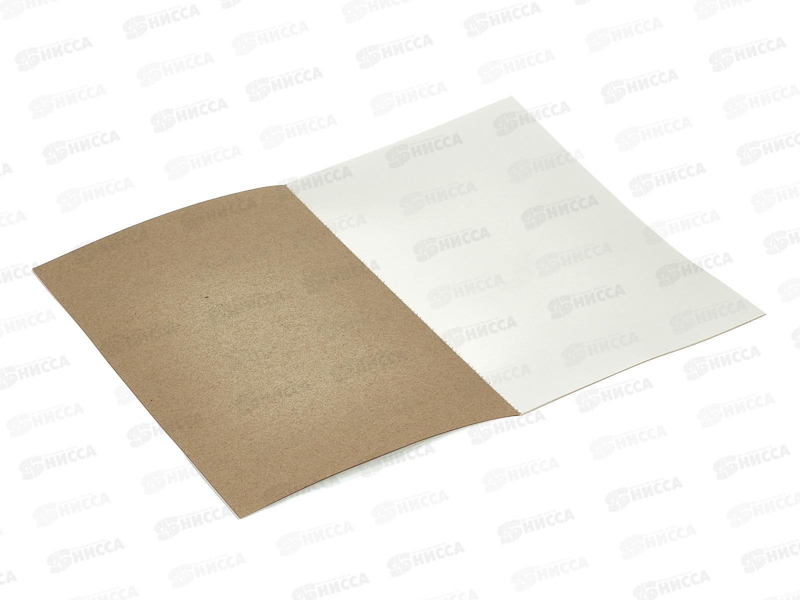 Картон Белый А4 Profit 8л Необычный котик, 08-7874 *30