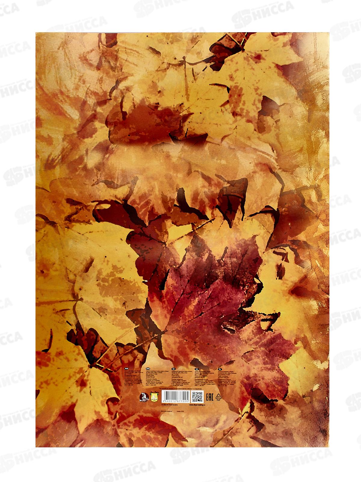 Папка для акварели А2 5л ЛХ P200 Хлоя П-7225 *15