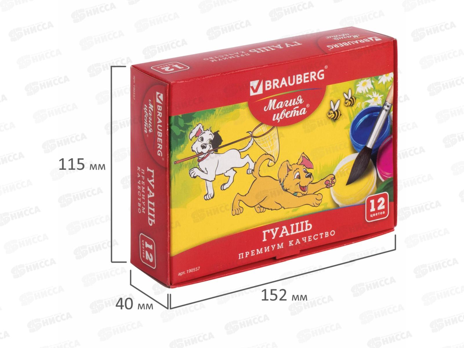 Гуашь художественная  BRAU Магия цвета 12цв 20мл, 190557 *18