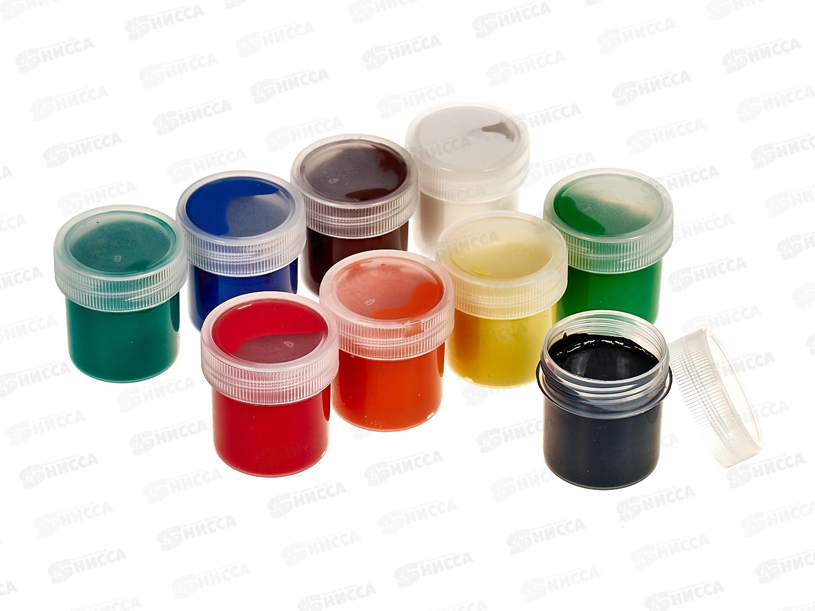 Гуашь художественная BRAU Магия цвета 9цв 20мл, 190556 *24