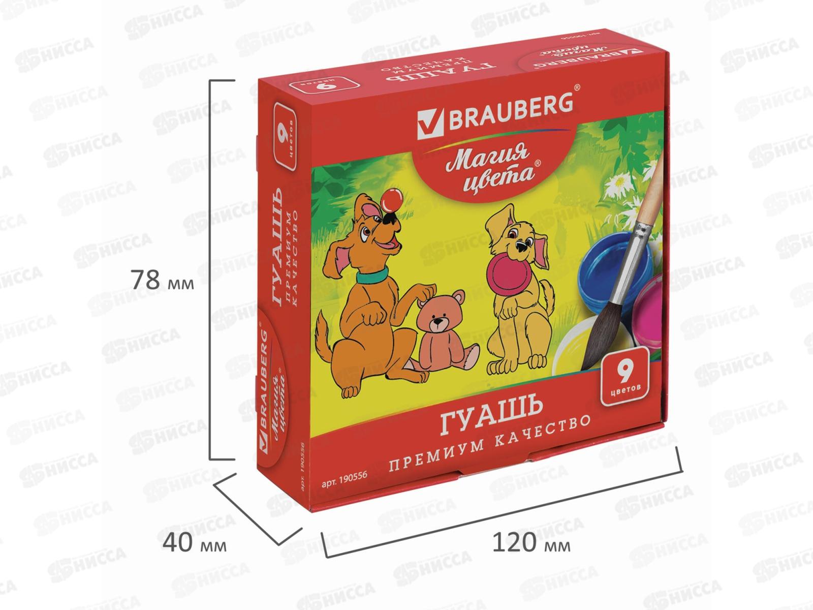 Гуашь художественная BRAU Магия цвета 9цв 20мл, 190556 *24