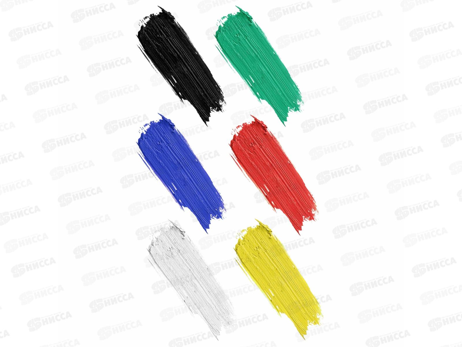 Гуашь BRAU Академия классическая экстра 6цв 20мл,192371 *36