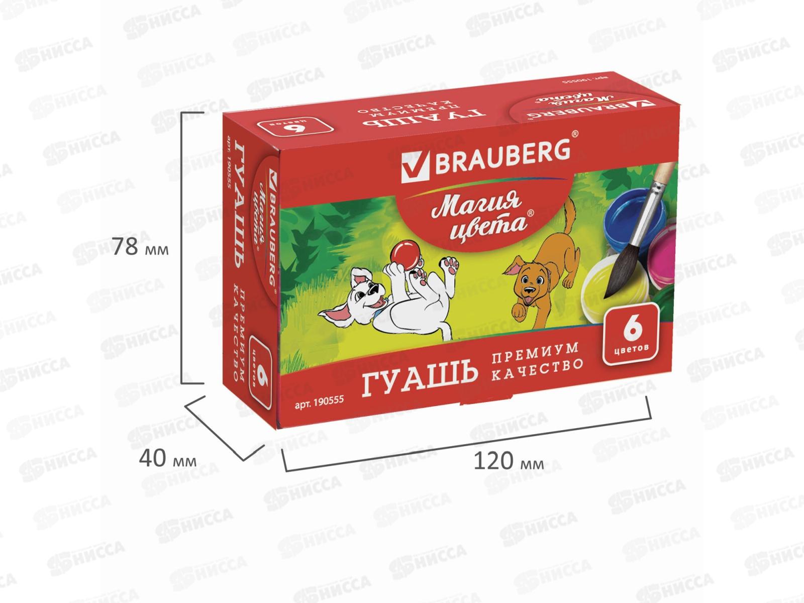 Гуашь художественная BRAU Магия цвета 6цв 20мл, 190555 *36