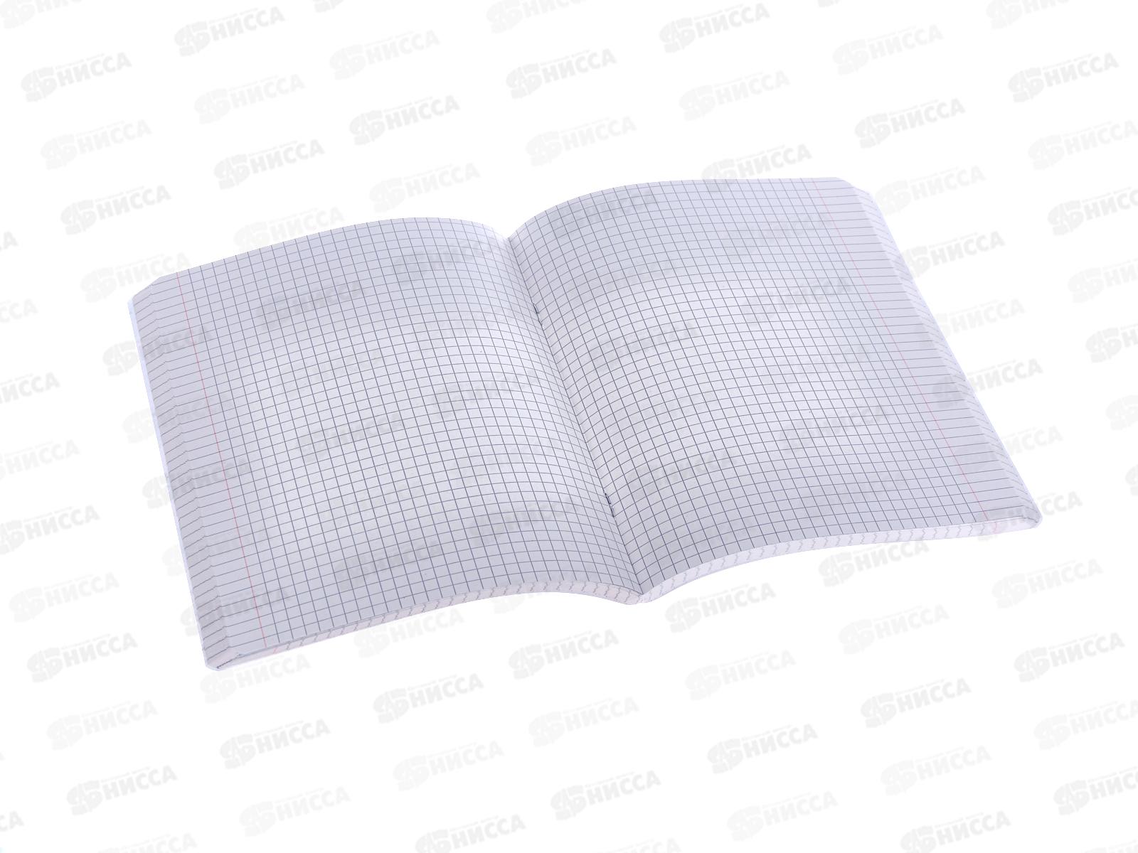 Тетрадь 96л кл. АКАД Гранат Грин EAC-13854/5 *30