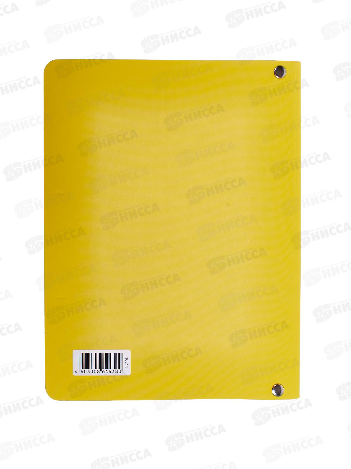 Тетрадь 80листов клетка  АКАД Ананас Sev на кольцах см.блок EAC-10814 *10