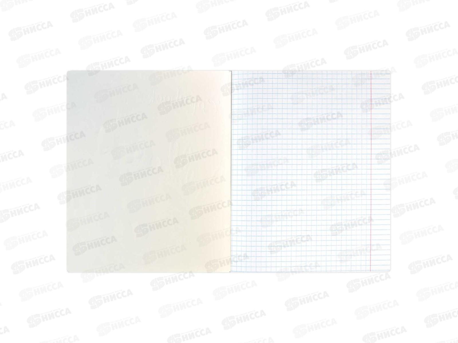 Тетрадь 48листов клетка ФЕН Мотивационные речи,59139 *5/50