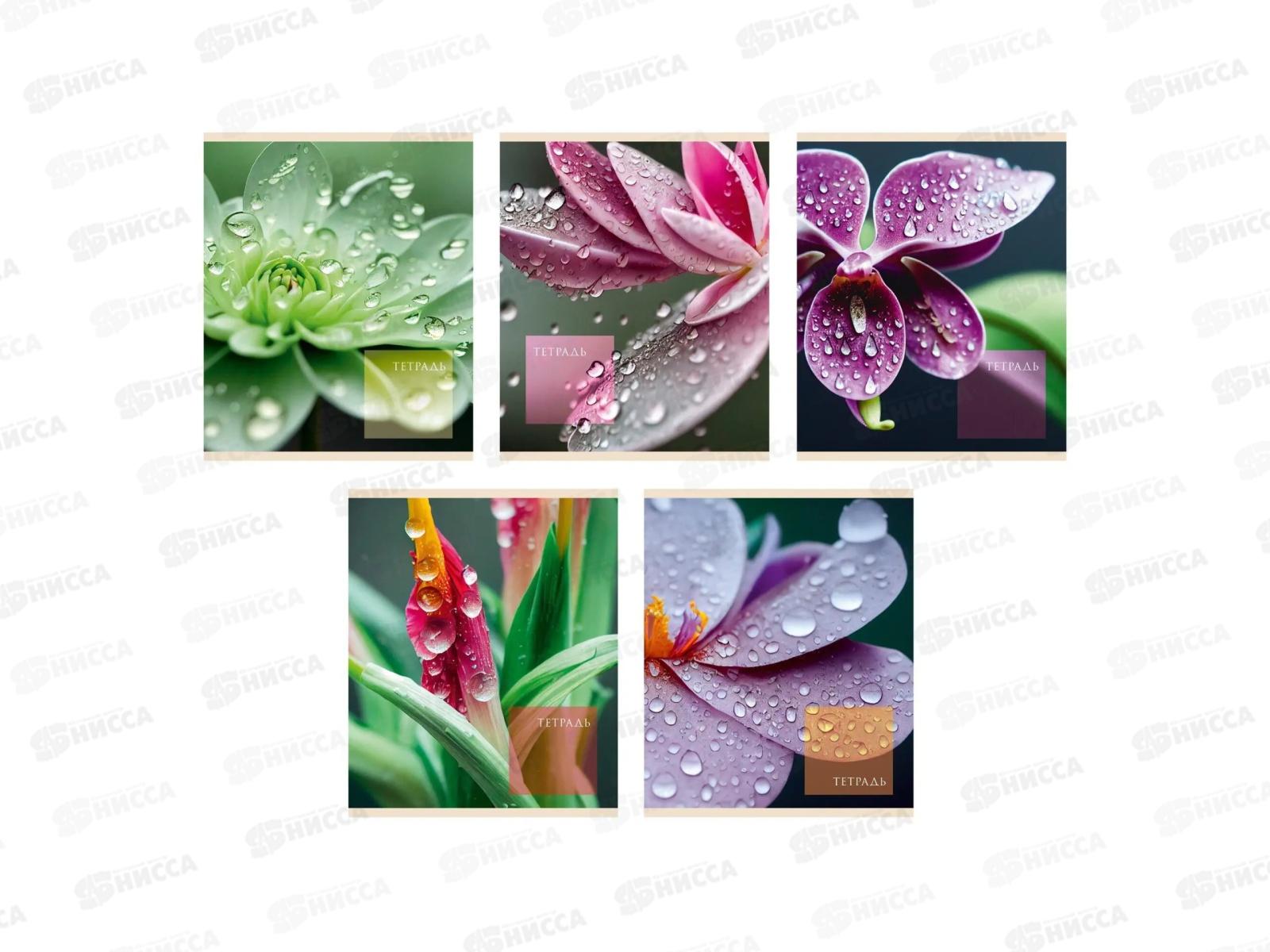 Тетрадь 48листов клетка ЭКСМ Чарующая природа.Мокрый шелк ТК488665 *10/100