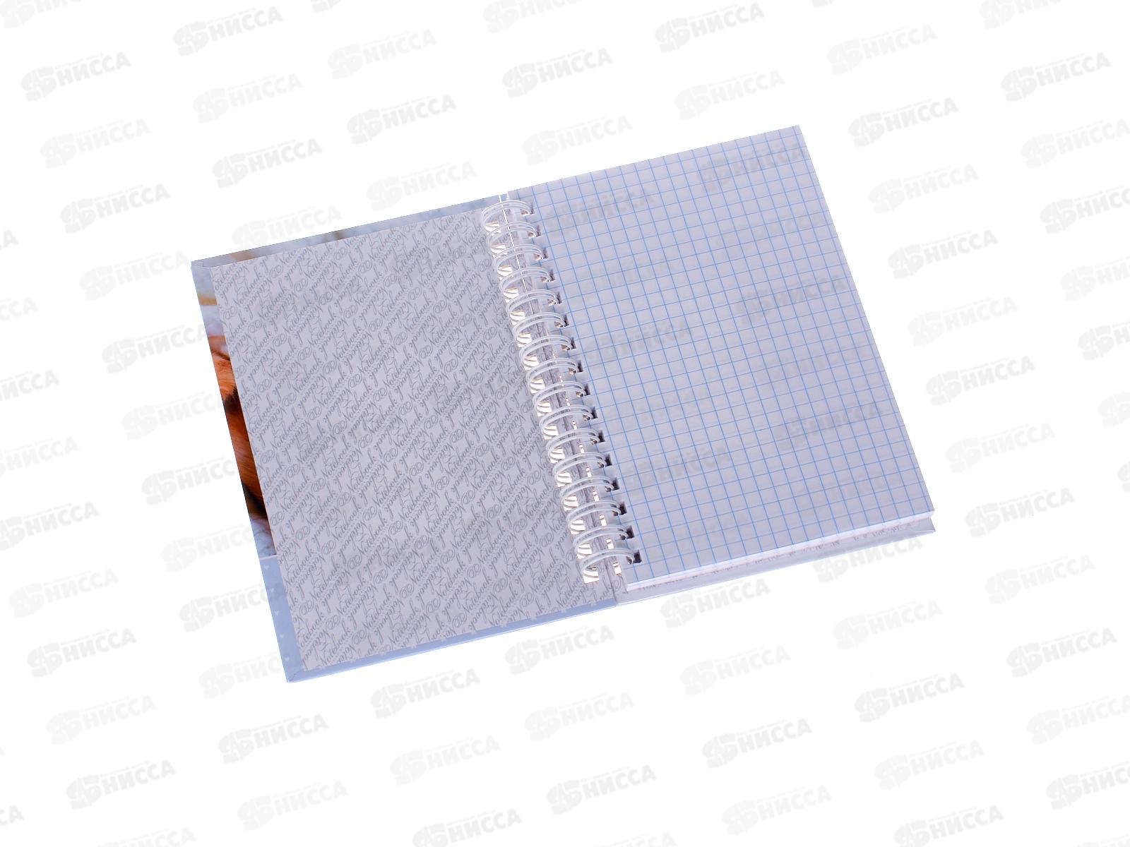 Книжка записная Hatber А6  80л Носики курносики сопят 30180 *32