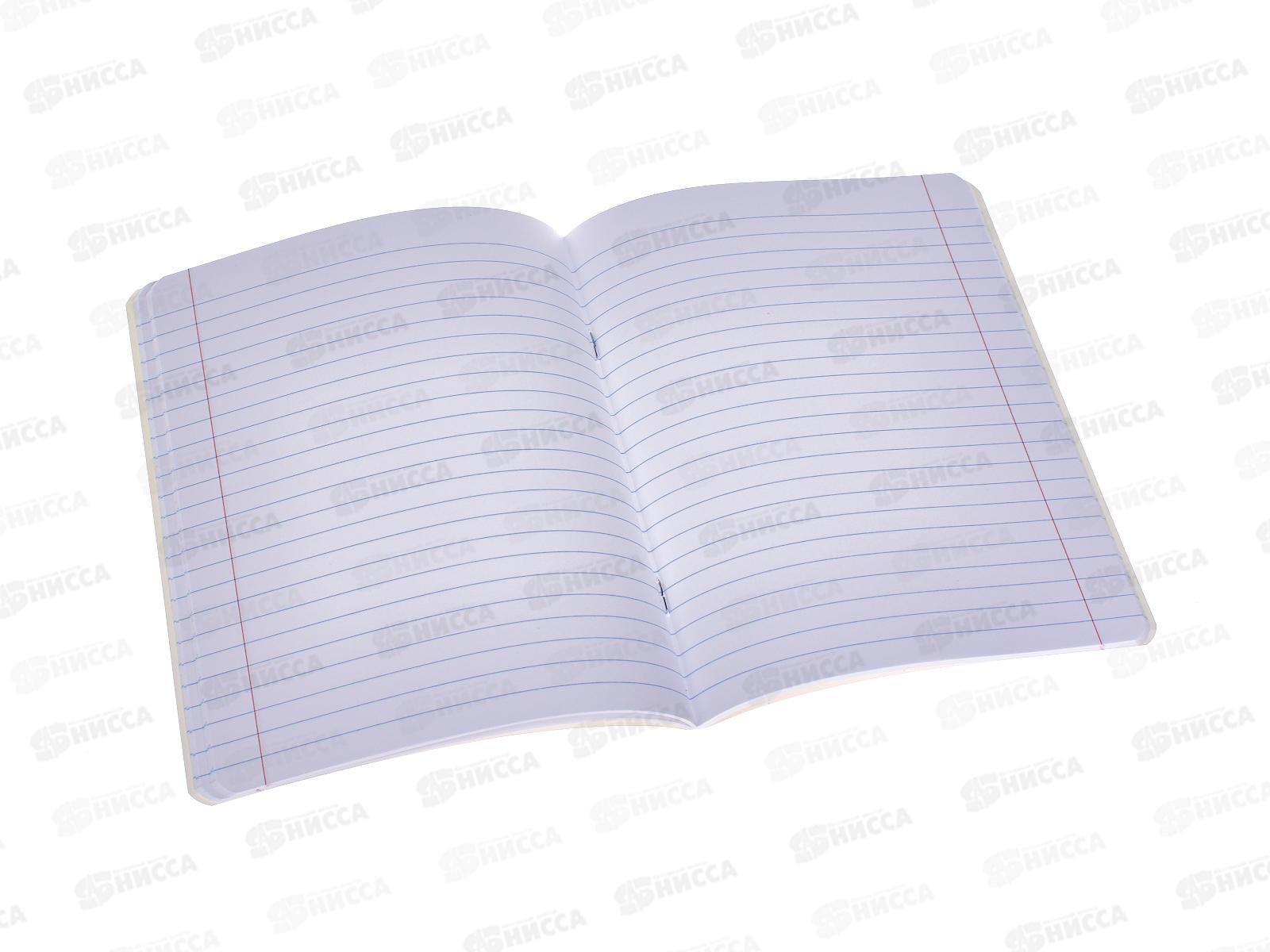 Тетрадь 48листов линия Hatber Нежный флёр 082770  *5/60