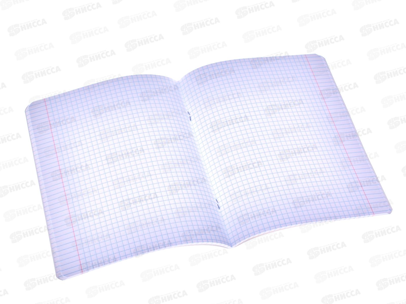 Тетрадь 48листов клетка  Hatber УтяКря 077367, *5/60