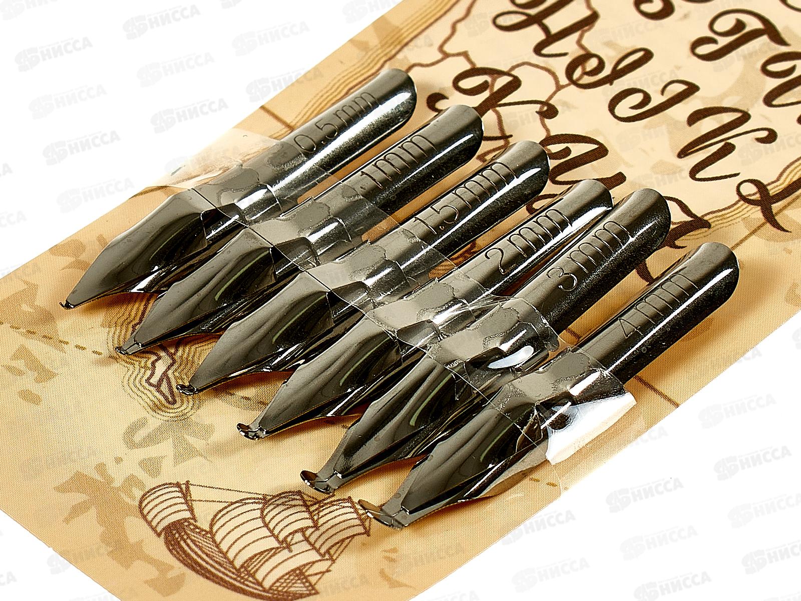 Перья калиграф. ArtSpace 6шт.,41184