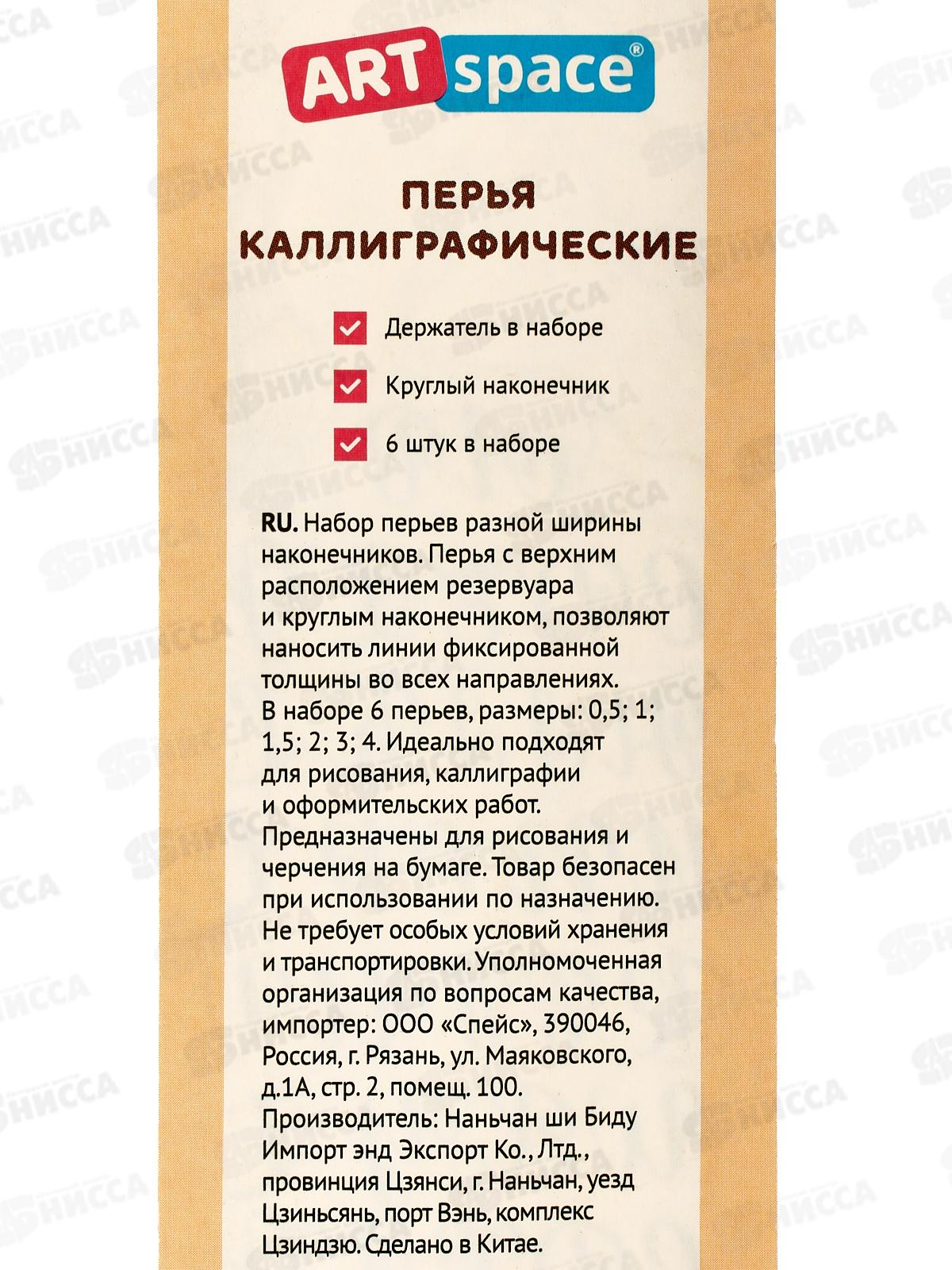 Перья калиграф. ArtSpace 6шт.,41184