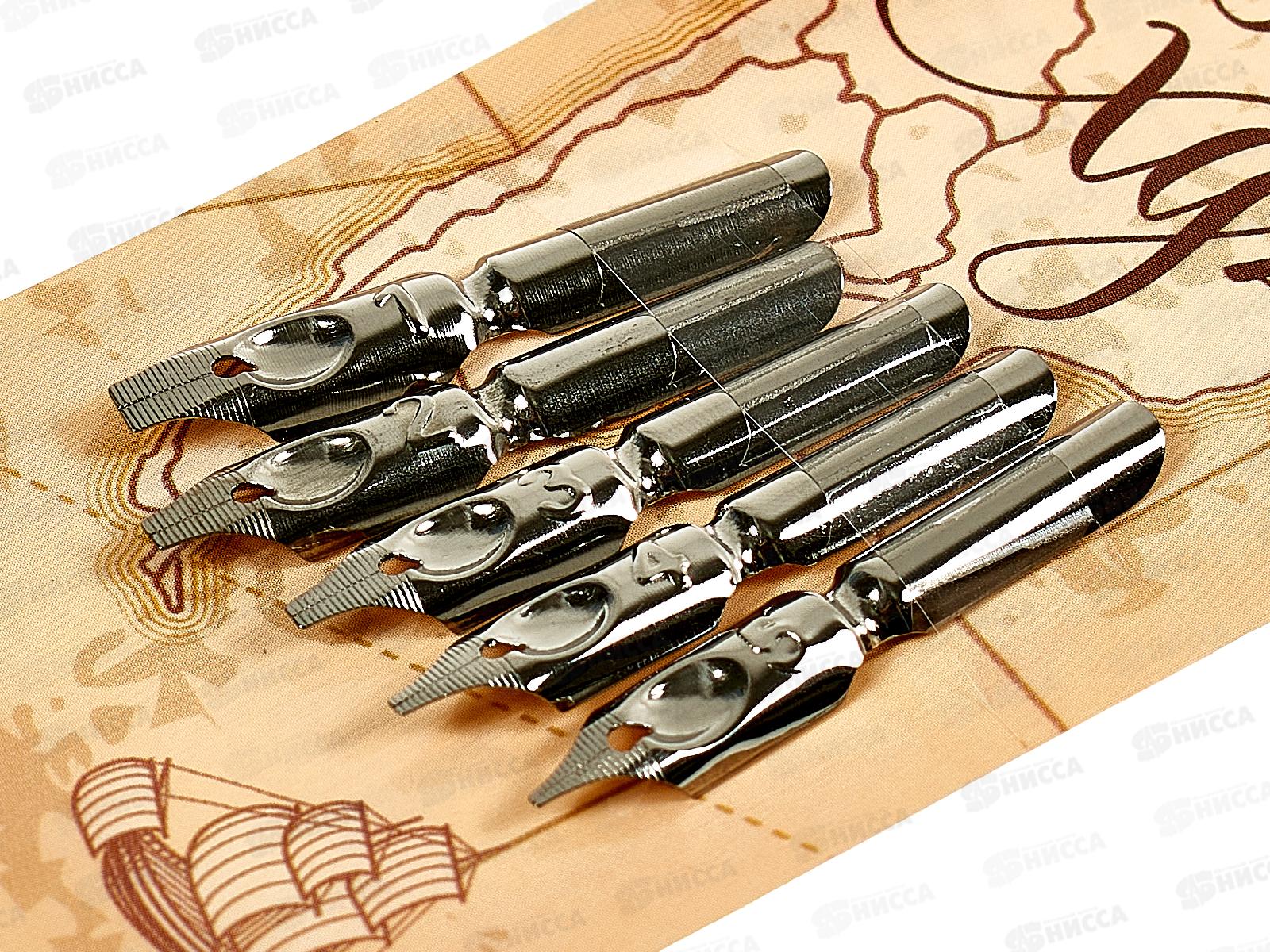 Перья плакатные  ArtSpace 5шт.,+держатель 41146