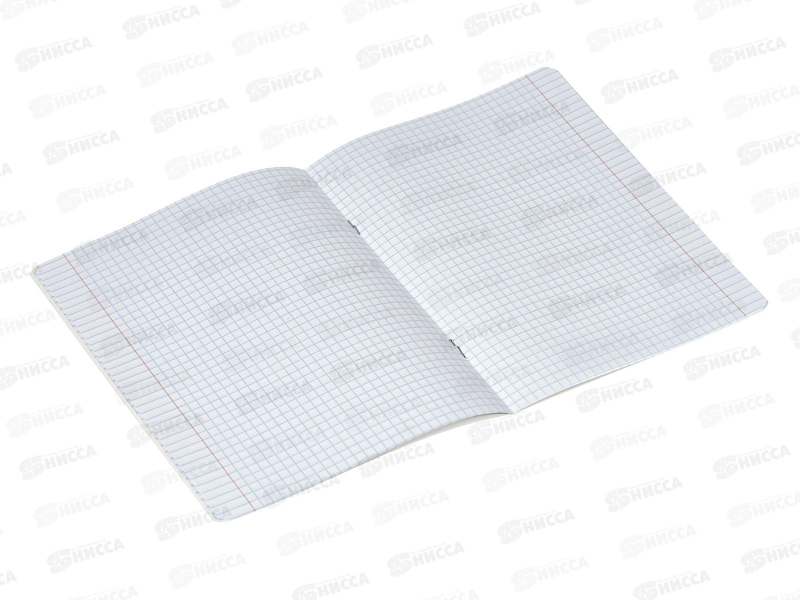 Тетрадь 12листов клетка ПЗБМ Дракоша 15236*20/120