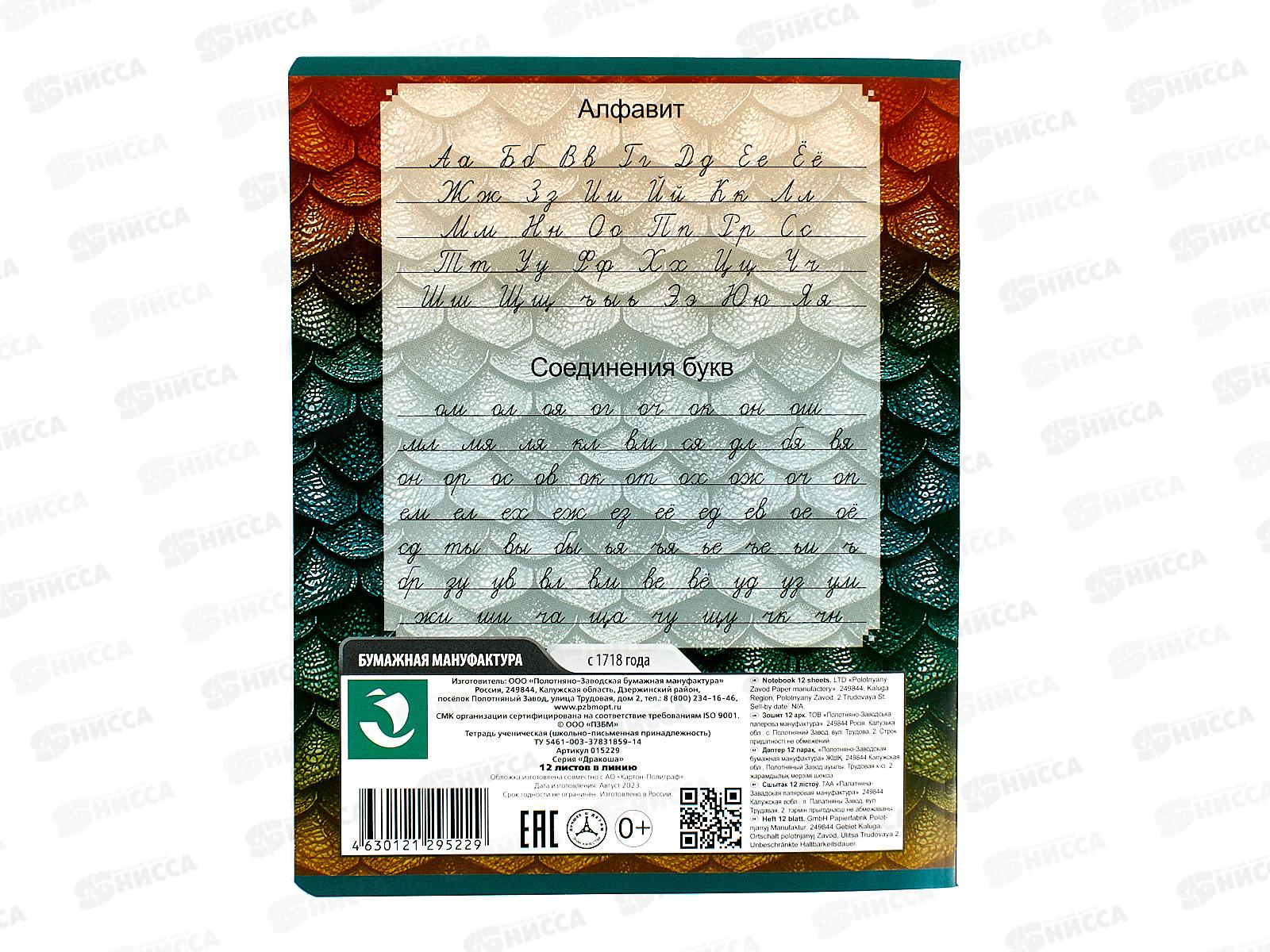 Тетрадь 12листов линия ПЗБМ Дракоша 15229*20/120