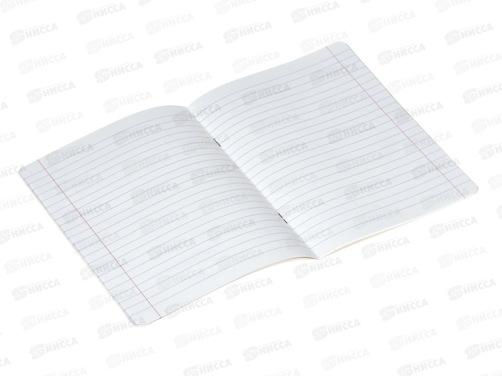 Тетрадь 18листов линия ПЗБМ Будь как капибара 015205*10/100