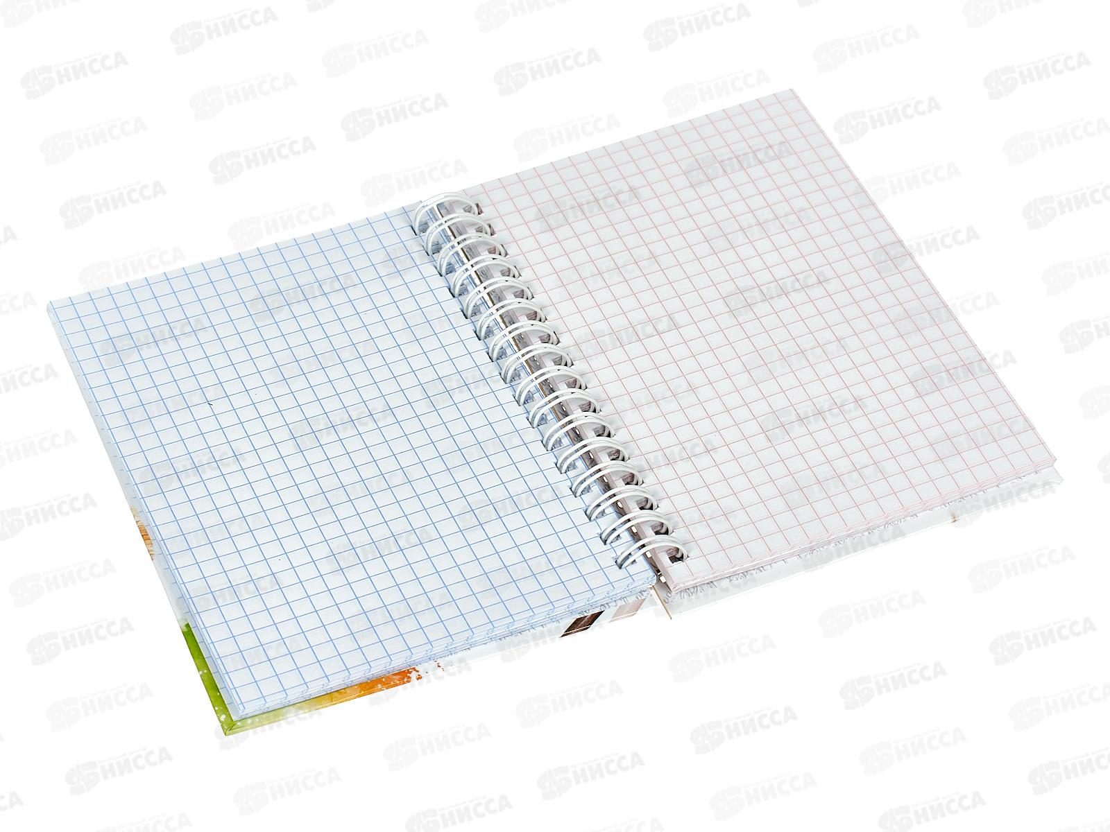 Записная книжка Hatber А6 80листов Рыжий котик 29844 *144