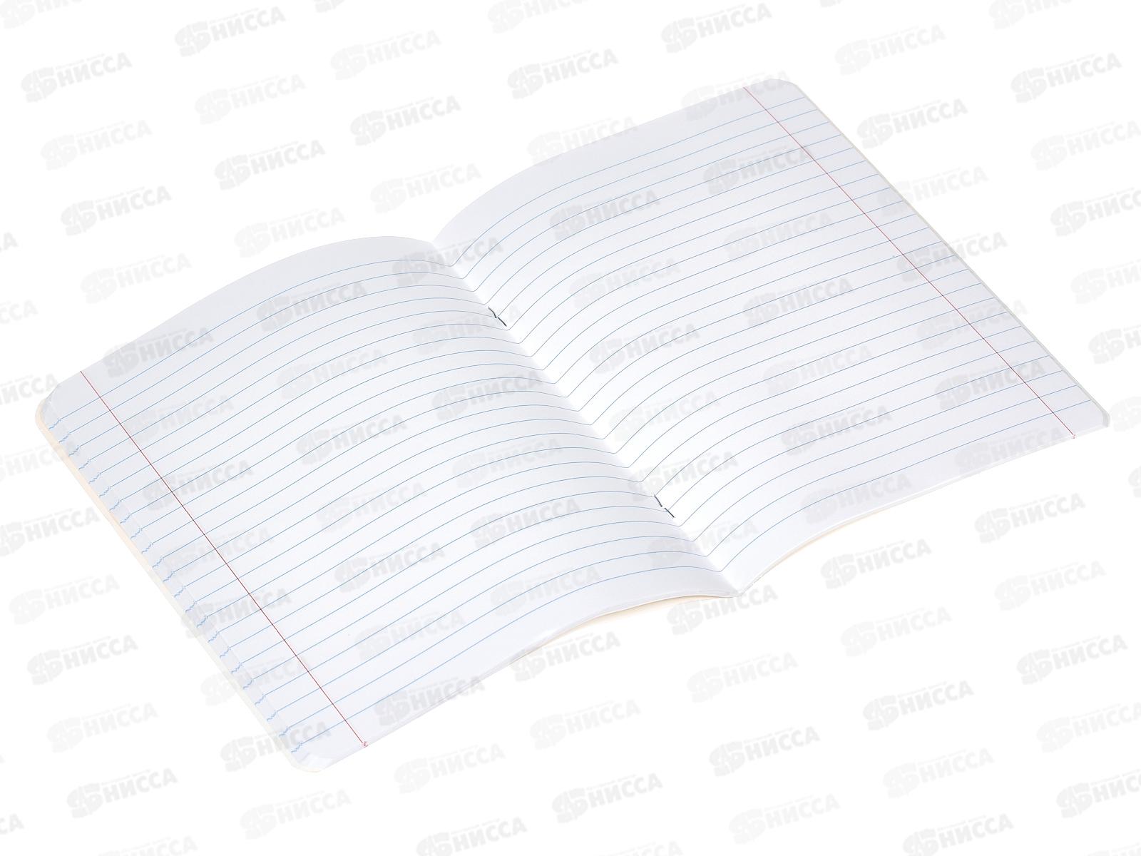 Тетрадь 48л линия Hatber Мои гаджеты *5/100