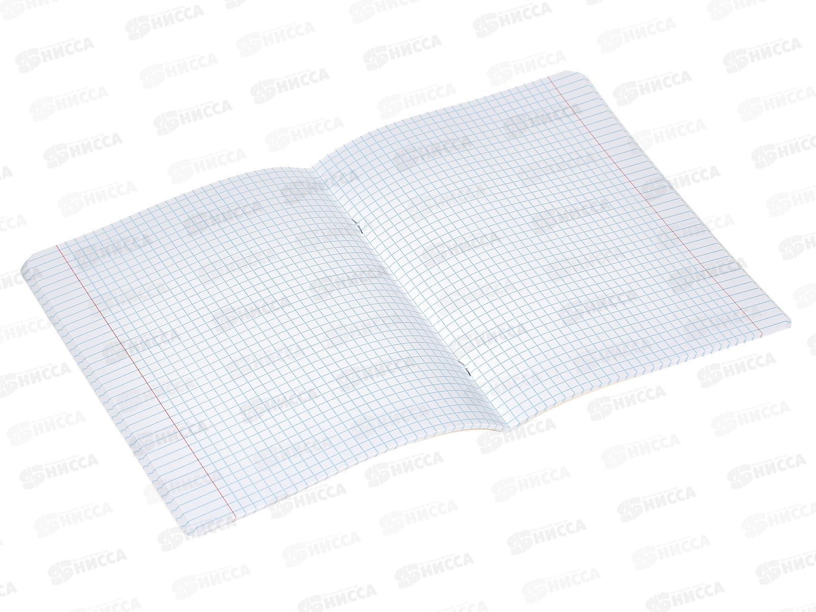 Тетрадь 48листов клетка  Hatber Котоюмор офс.  *5/60