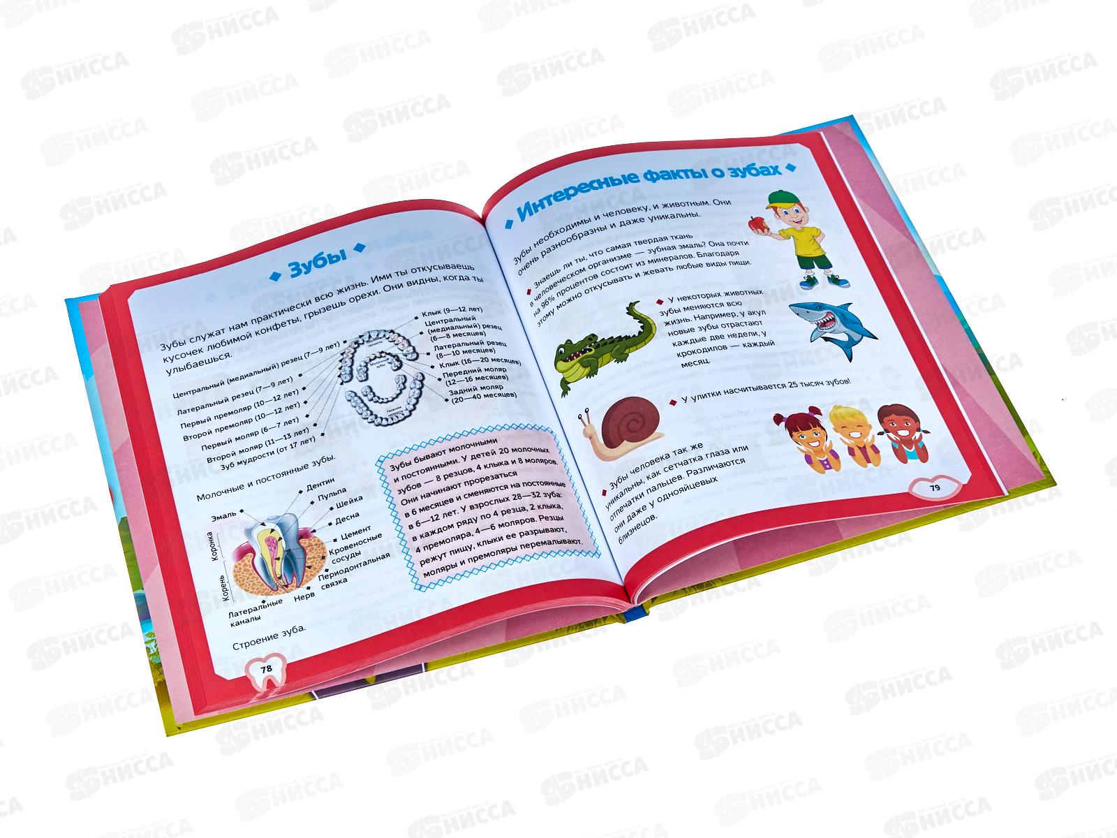 Книга АСТ Тело человека, Спектор А.А. (первая энциклопедия) 9984-6 *16