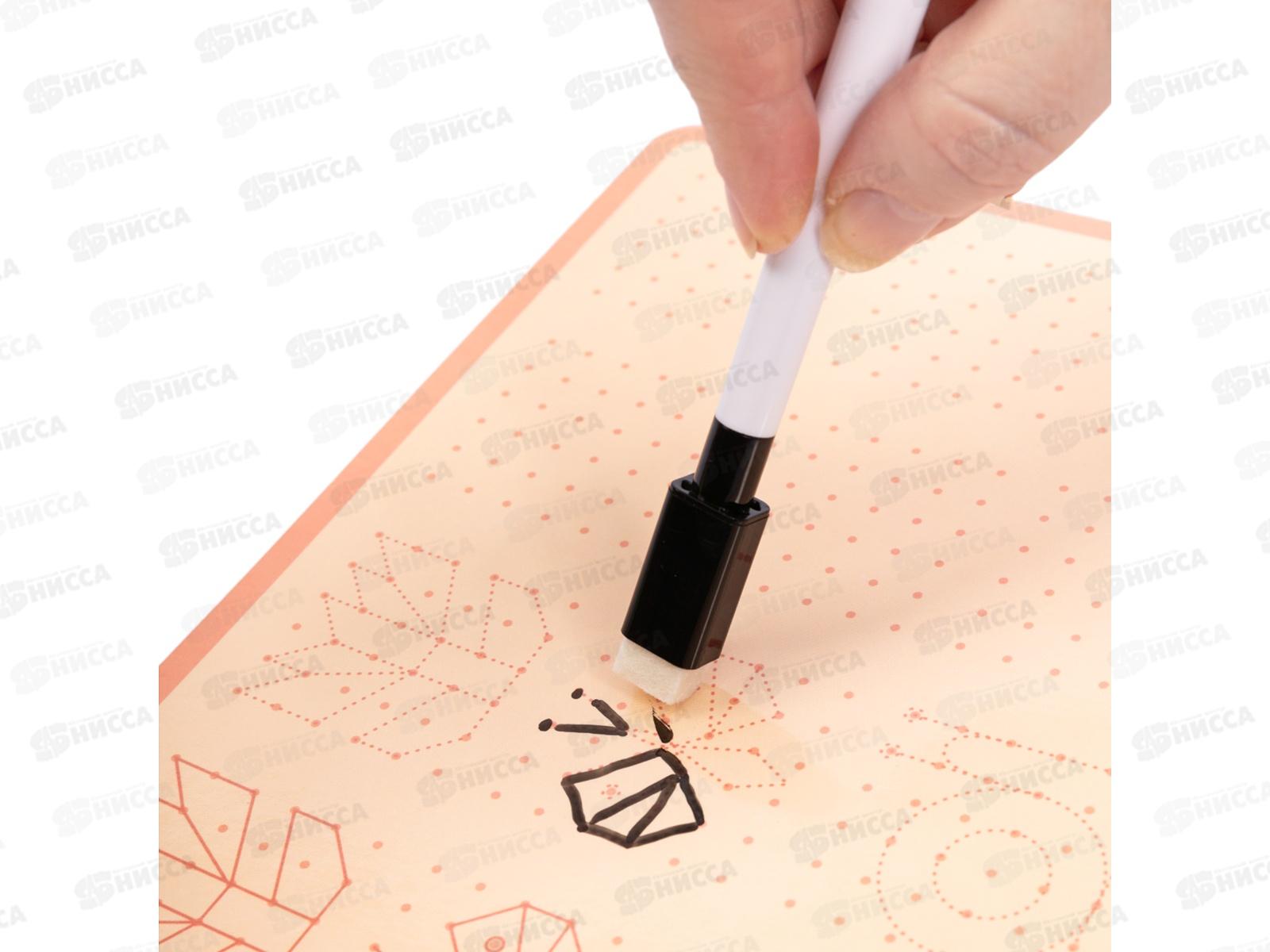 Игра развивающая &quotПиши-стирай&quot Прописи, 05069 *18