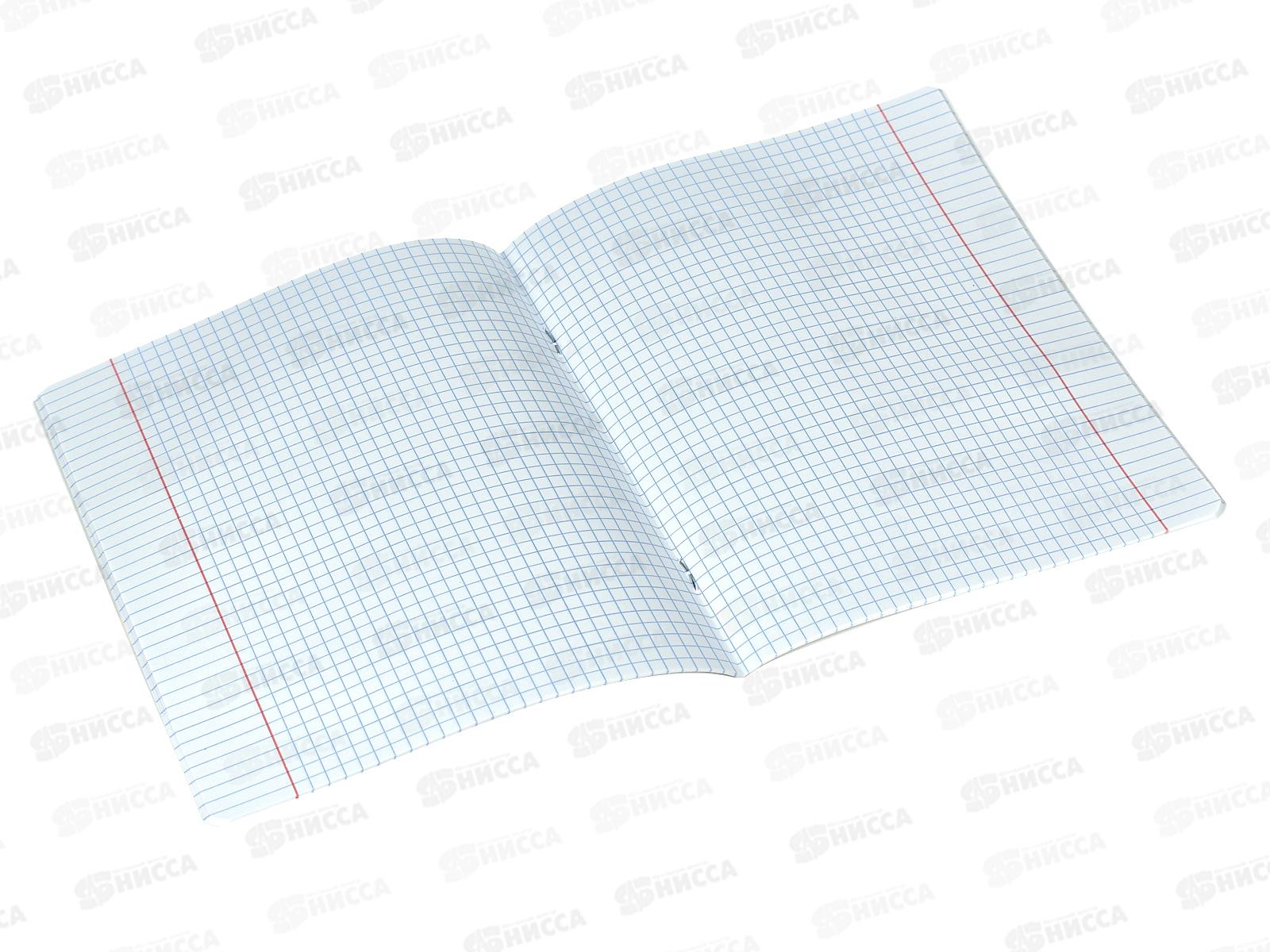 Тетрадь 24л кл. ПОЛИ Простоквашино 60634 *10/160