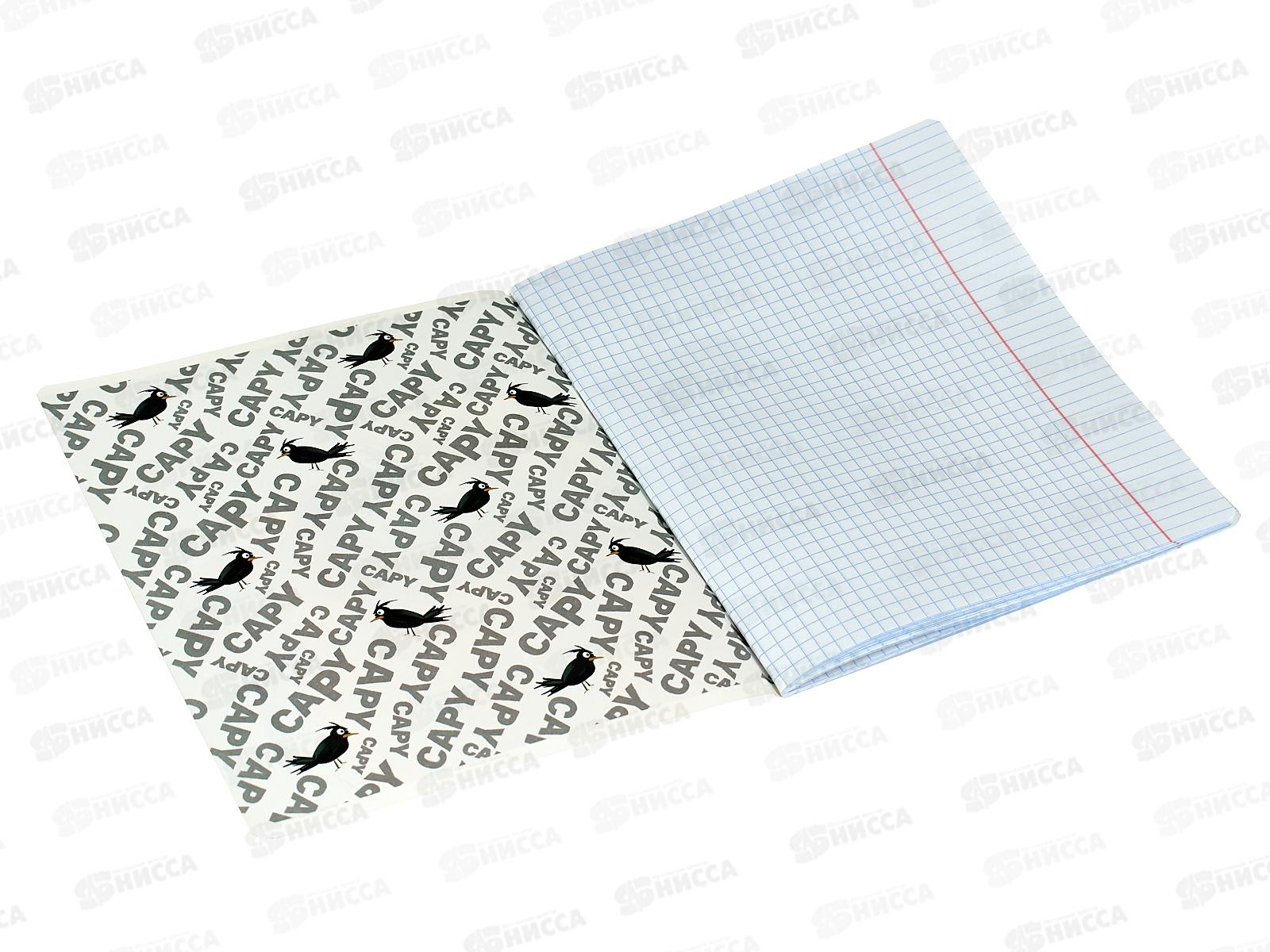 Тетрадь 48листов клетка  ПОЛИ Happy Capy  60617 *5/100