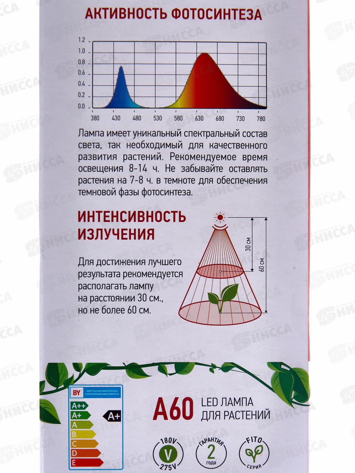Лампа светодиодная  для растений IN HOME LED-A60-FITO 15Вт Е27 красно-синий спектр