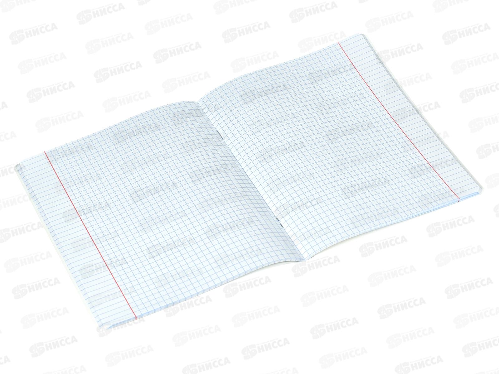 Тетрадь 48листов клетка АКАД Коты ночью EAC-14066/5 *20/60