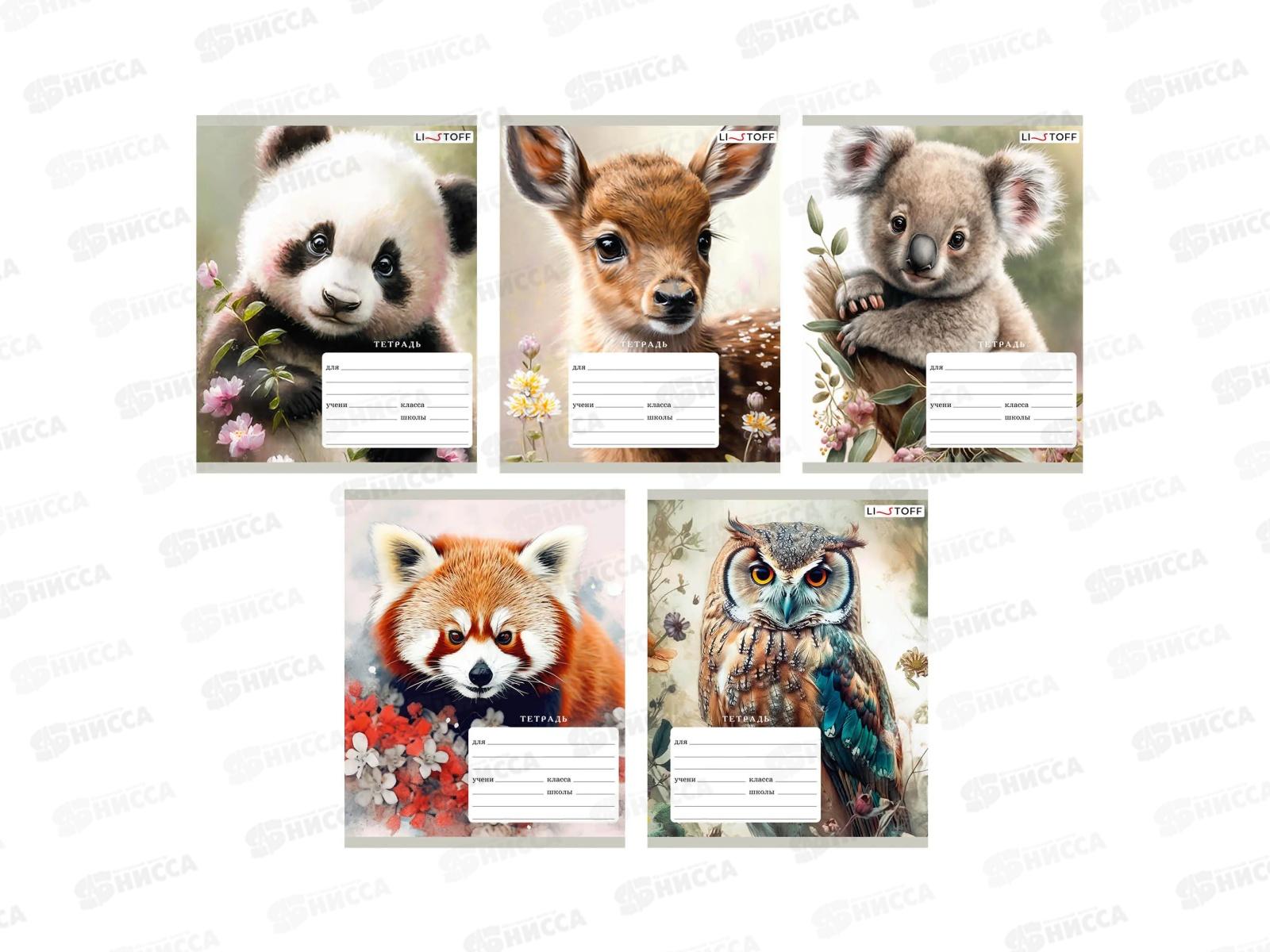 Тетрадь 18листов клетка  ЭКСМ В дикой природе ТК188889 *80
