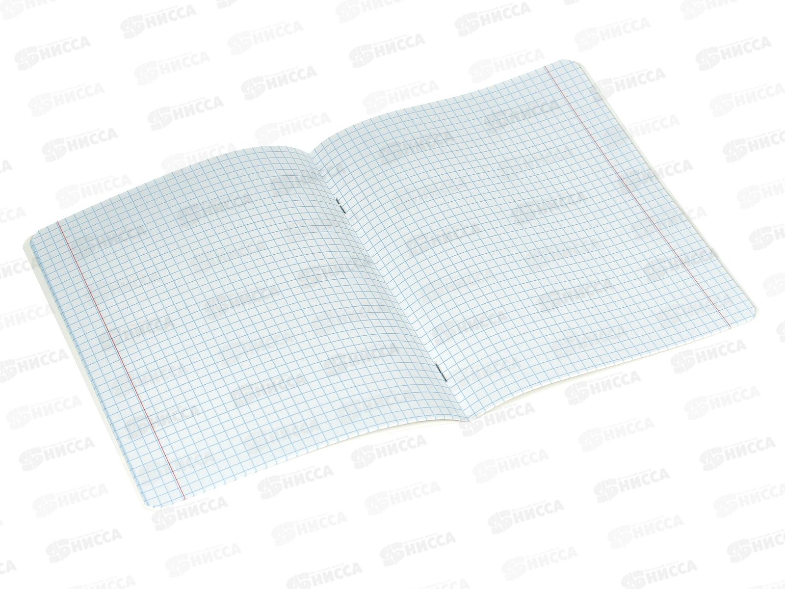 Тетрадь 18листов клетка CENTRUM Капибары,73971*25/150