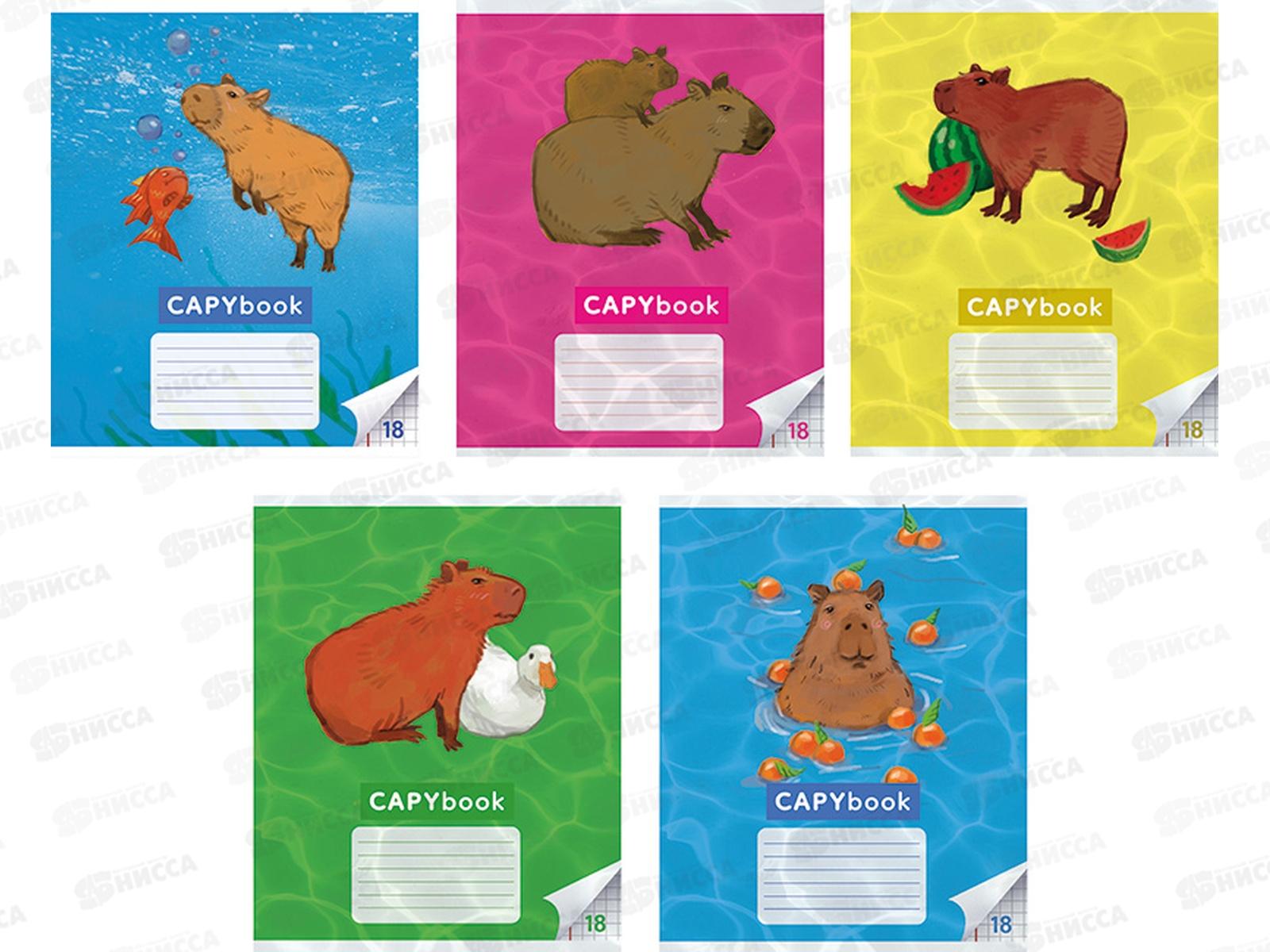 Тетрадь 18листов клетка CENTRUM Капибары,73971*25/150