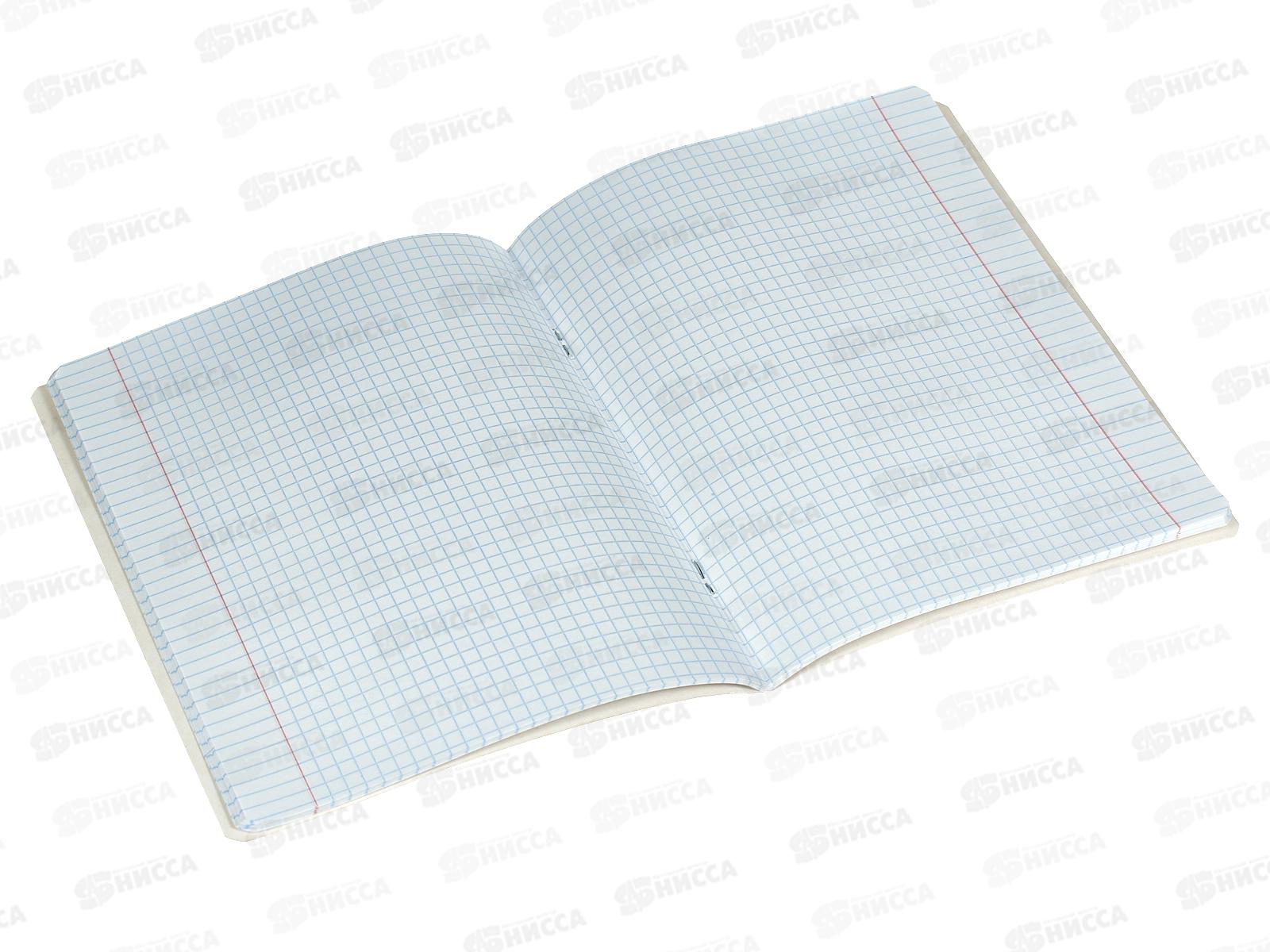 Тетрадь 48листов клетка АЛЬТ Загадочные волки,7-48-596*10/60