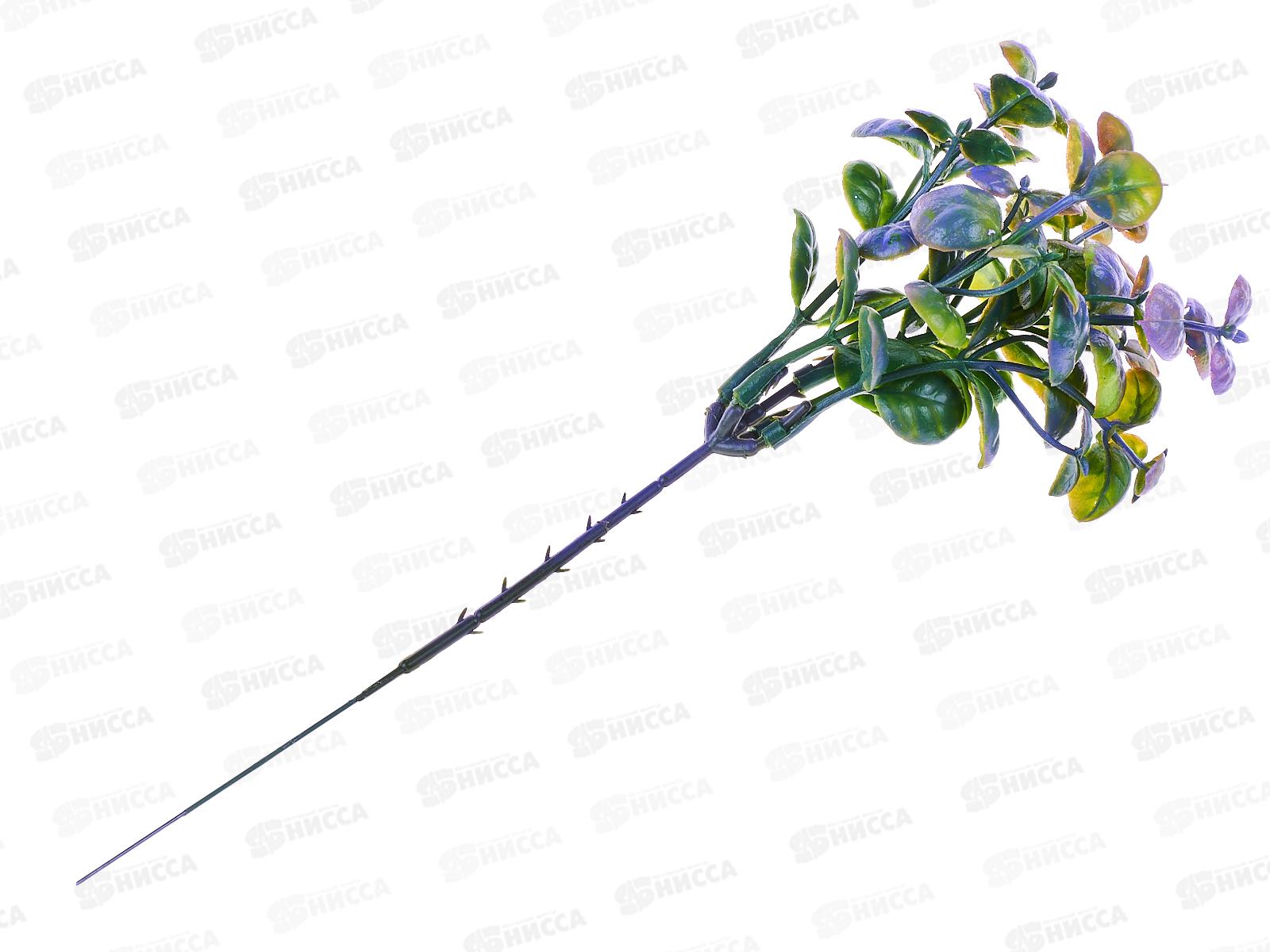 Букет 20см Эвкалипт с напылением  2037 *6