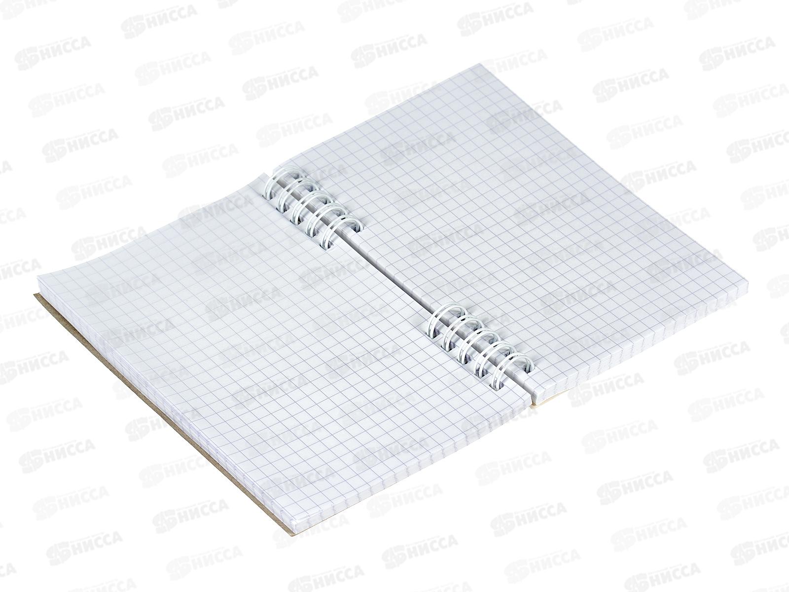 Блокнот120л ПГС NB Классика, 100*150, лак., гребень *6