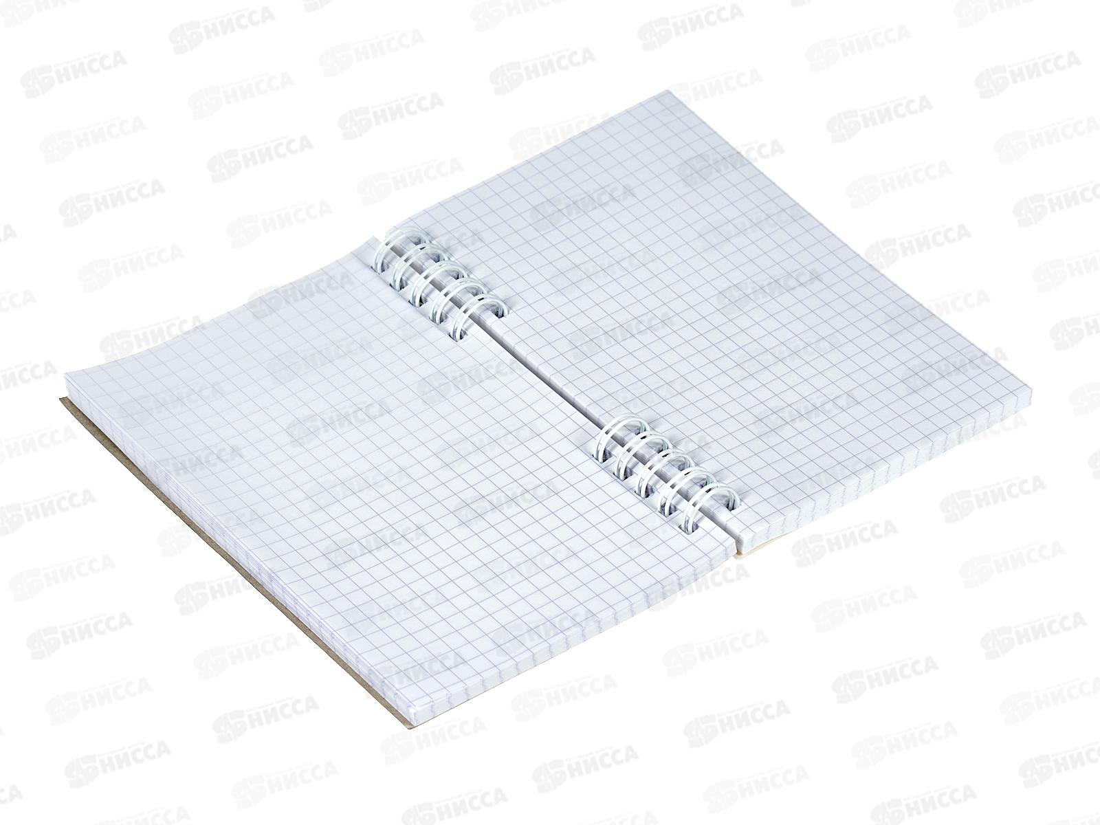 Блокнот120листов ПГС NB Перо, 100*150, лак., гребень *6