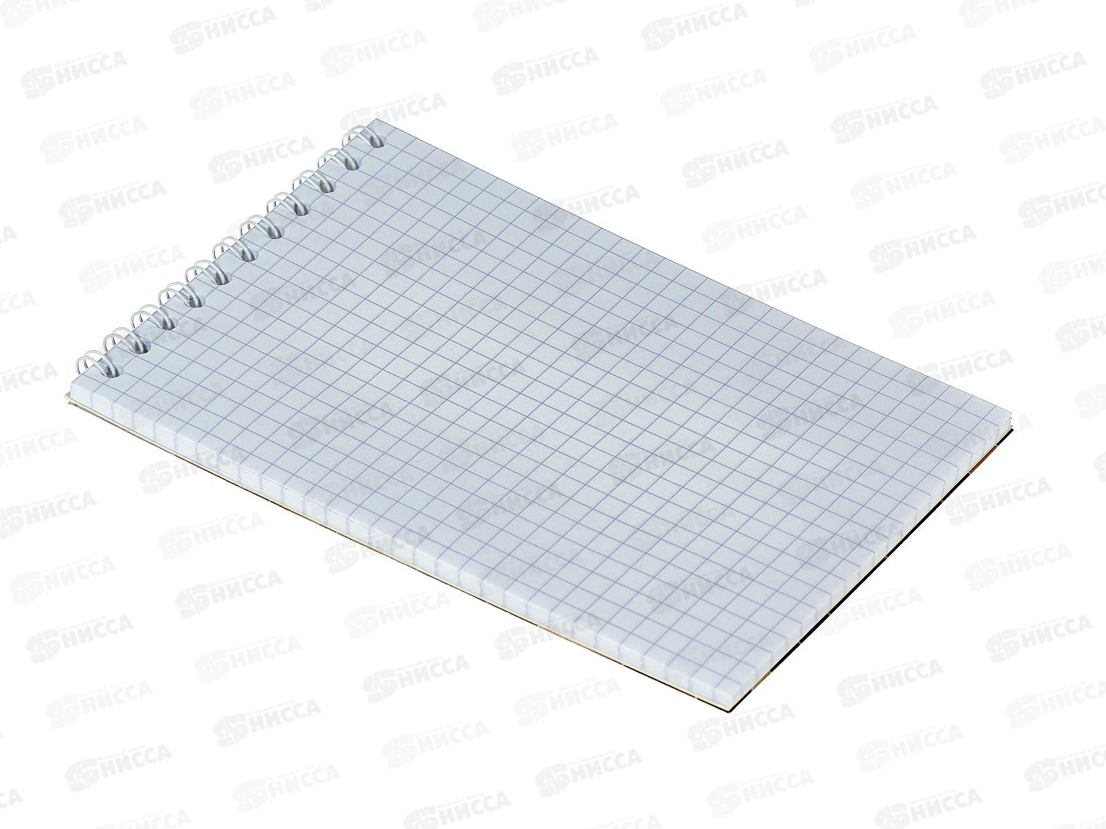 Блокнот 48л ПГС Классика, 100*150, греб. *12