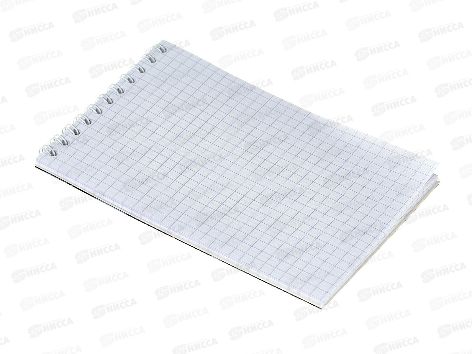 Блокнот 48л ПГС Перо, 100*150, греб. *12