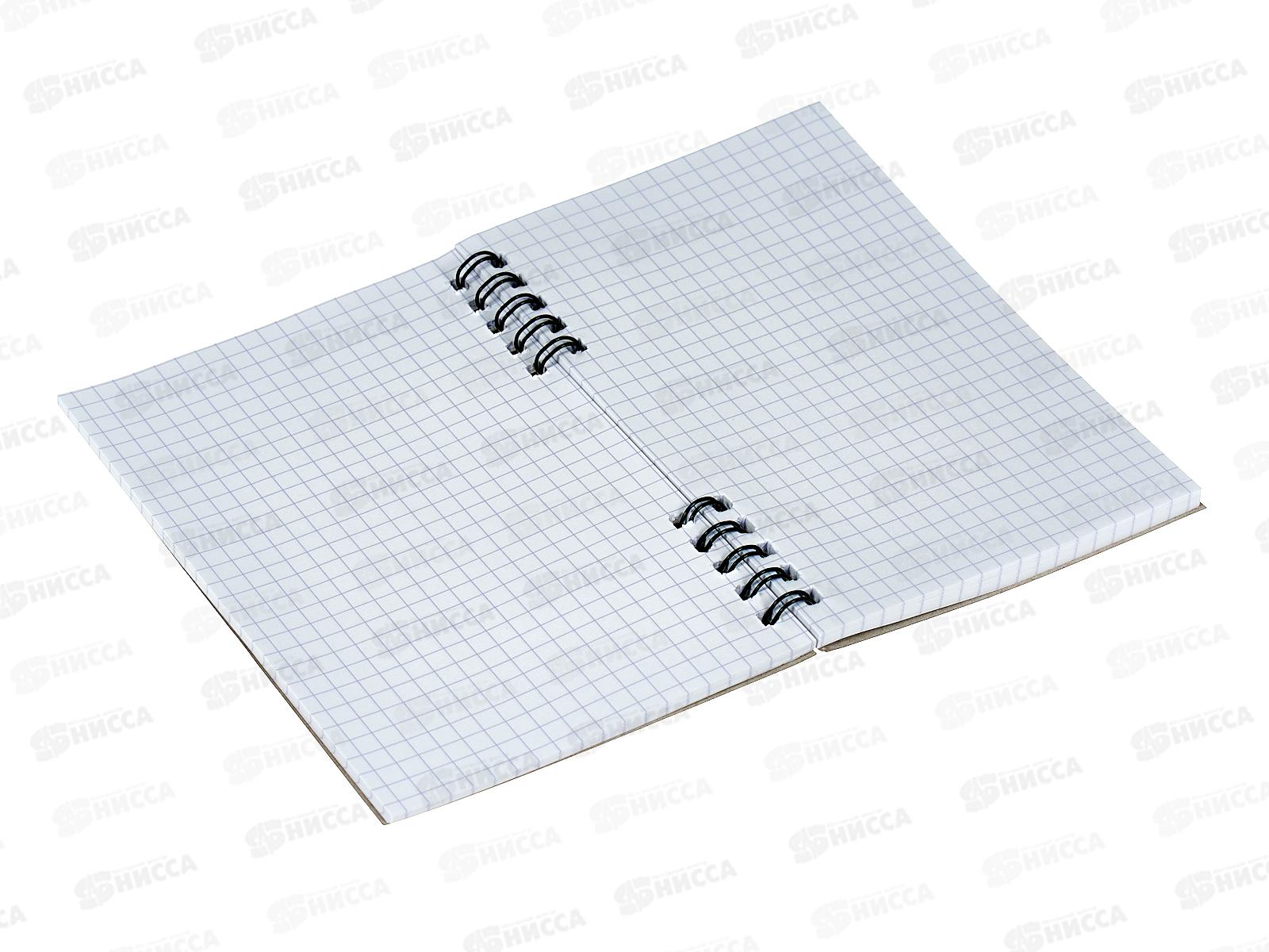 Блокнот 80листов ПГС Классика, 100*150, глиттер, гребень *12