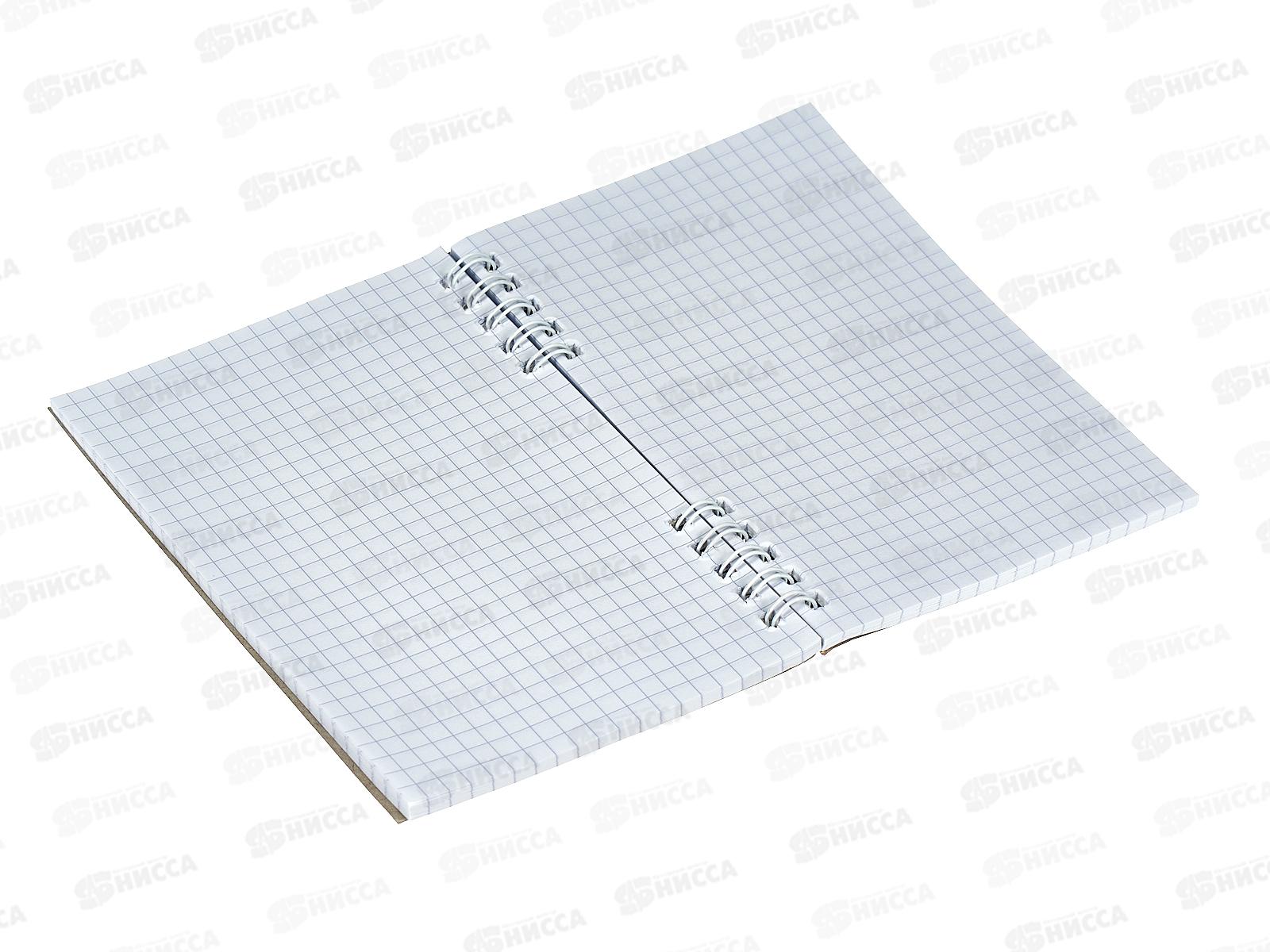 Блокнот 80листов ПГС Перо, 100*150, глиттер, гребень *12