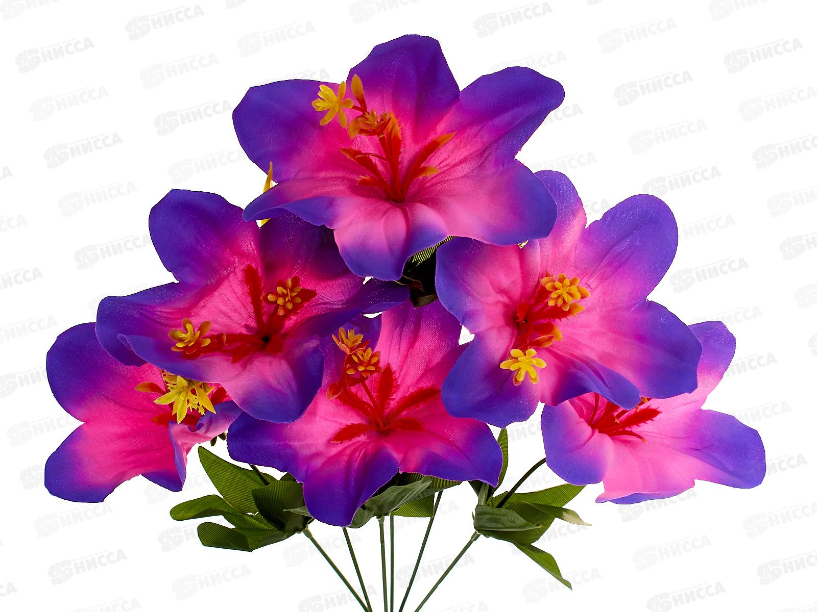 Букет 50см 6голов №310  80057 *4  Б