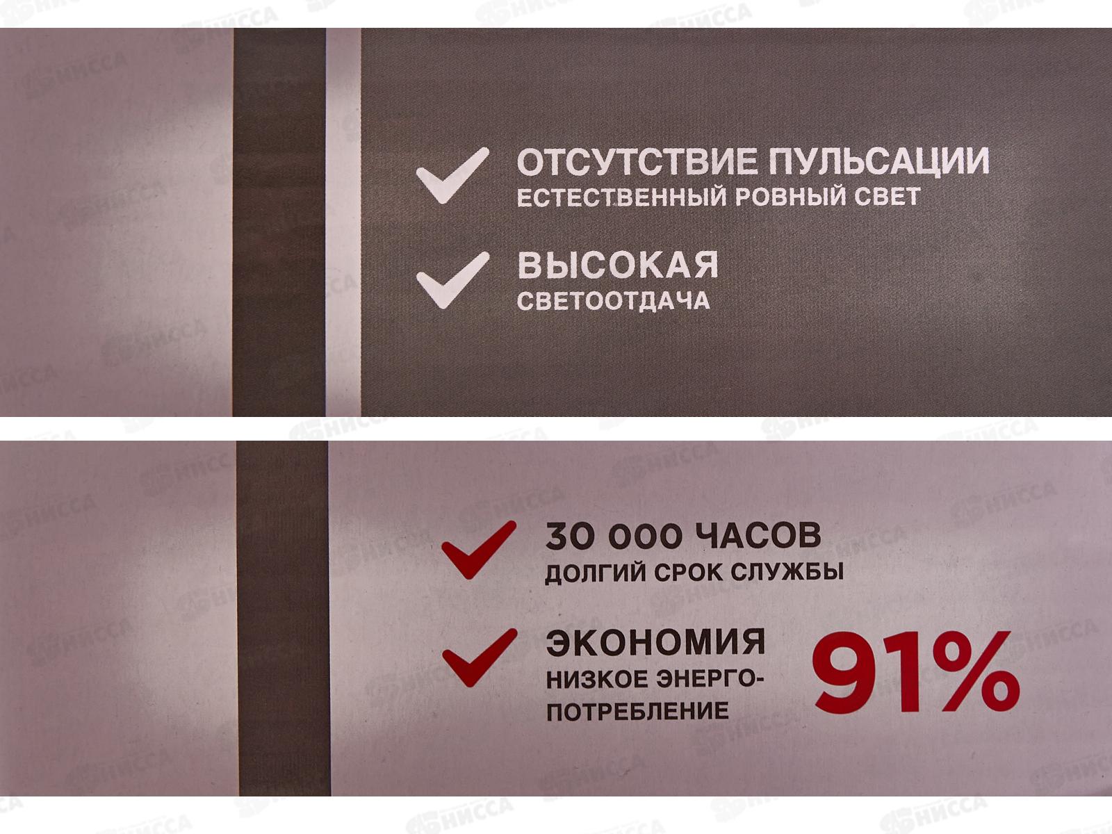 Прожектор светодиодный REXANT СДО 20Вт 1600Лм 5000К свет белый 605-024 *24