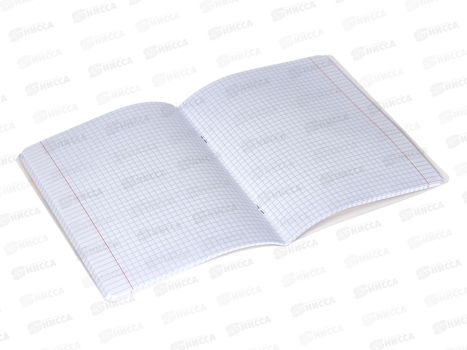 Тетрадь 48листов клетка Hatber Смешарики 084059*5/100