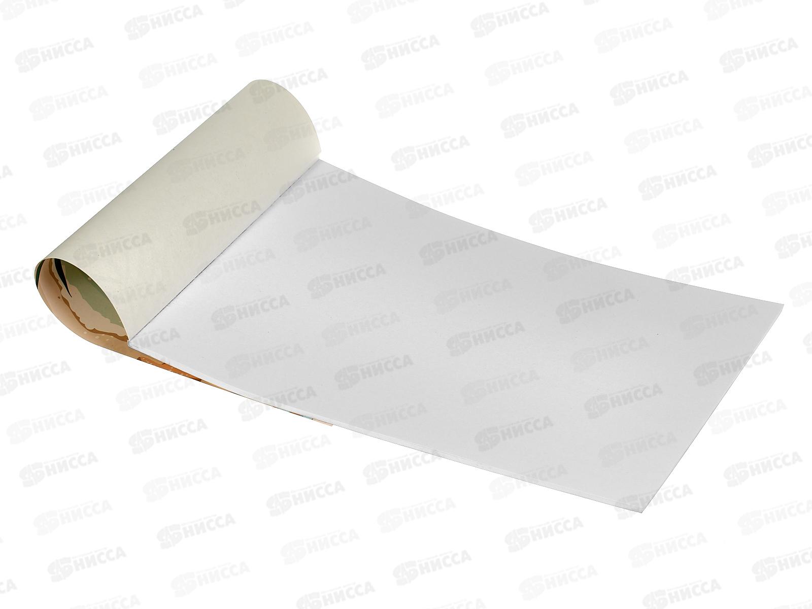 Альбом д/рис.24л Lamark Капибара на пляже, 76818 *27