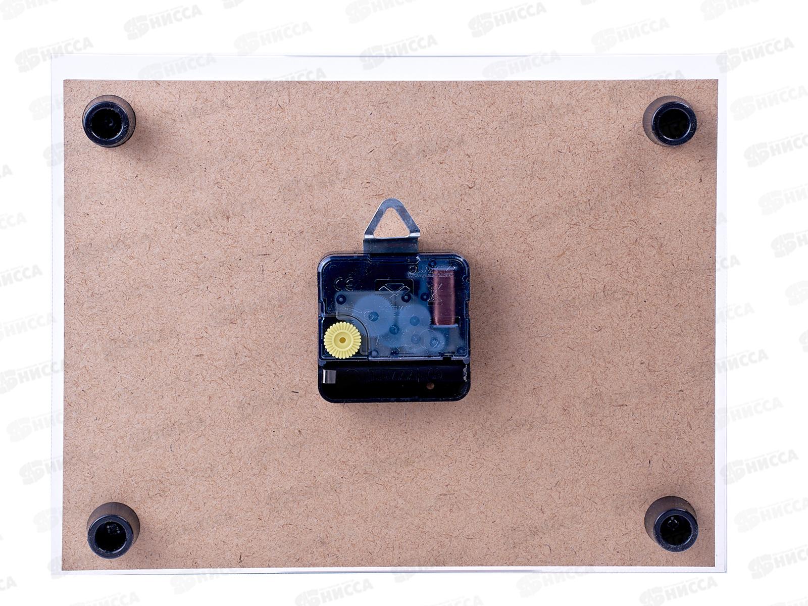 Часы настенные &quot21 Век&quot 2026-800 (10) Розовая Орхидея