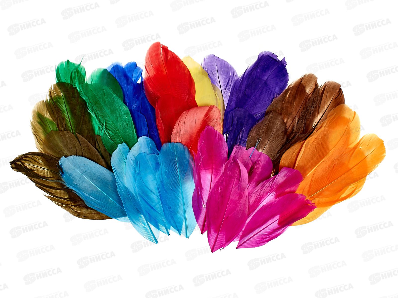 Декор элементы deVENTE Перья гусиные в виде листочка 50шт 8130302