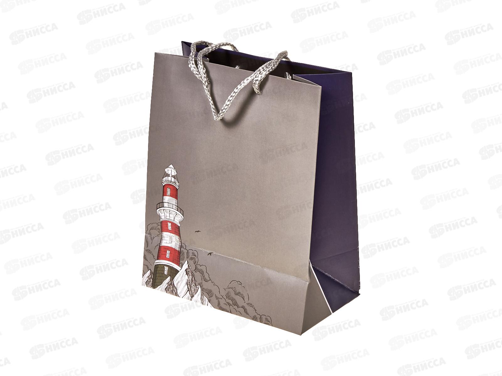 Пакет подарочный АД 18*22,3 0292.947