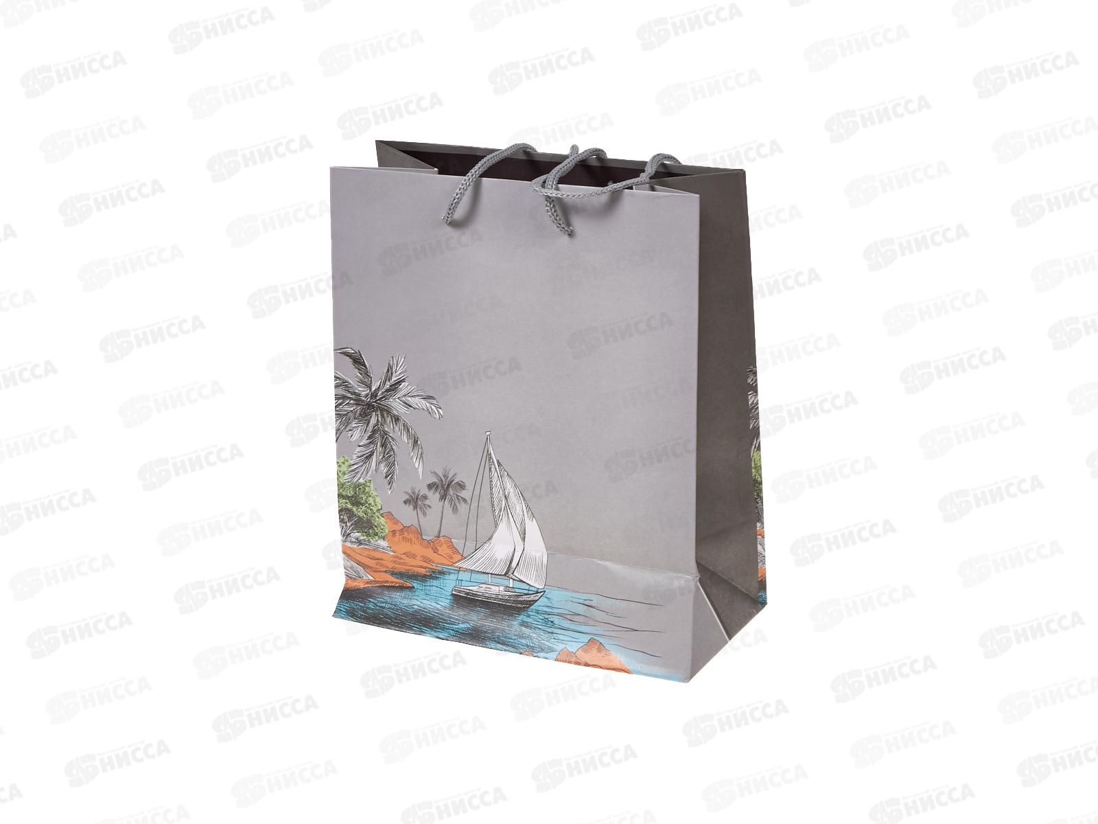 Пакет подарочный АД 18*22,3 0292.948